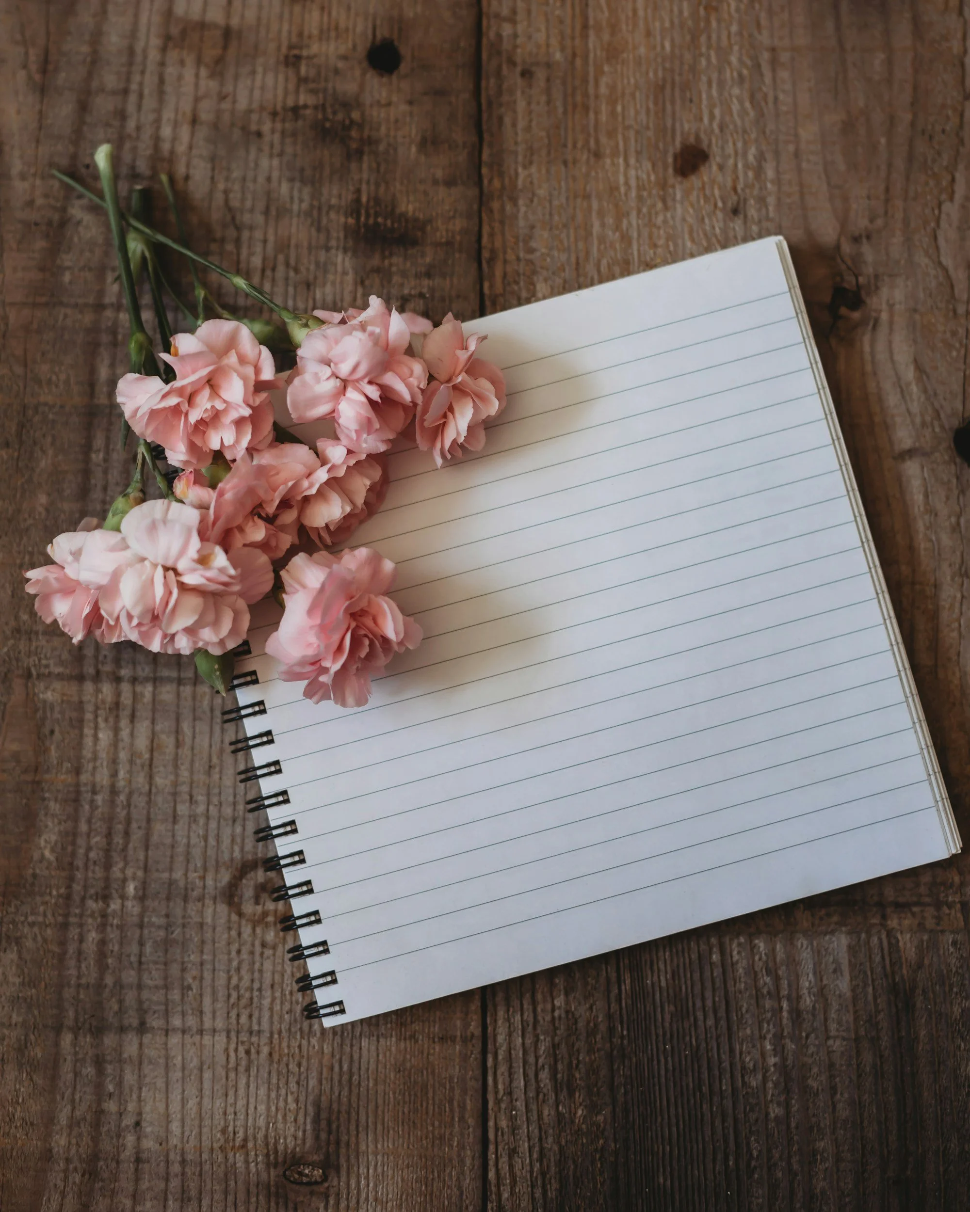 Pink carnations with green stems on a spiral-bound lined notebook, placed on a rustic wooden surface.