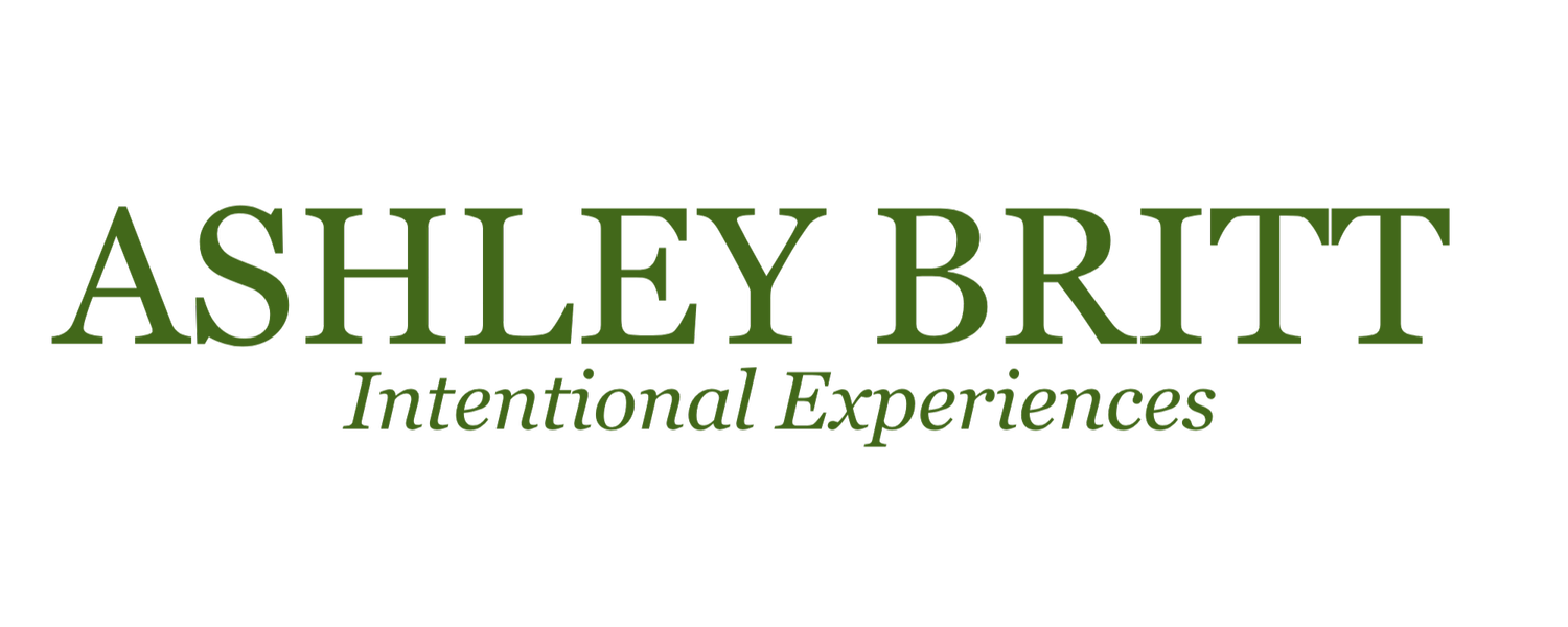 Professional Portfolio 