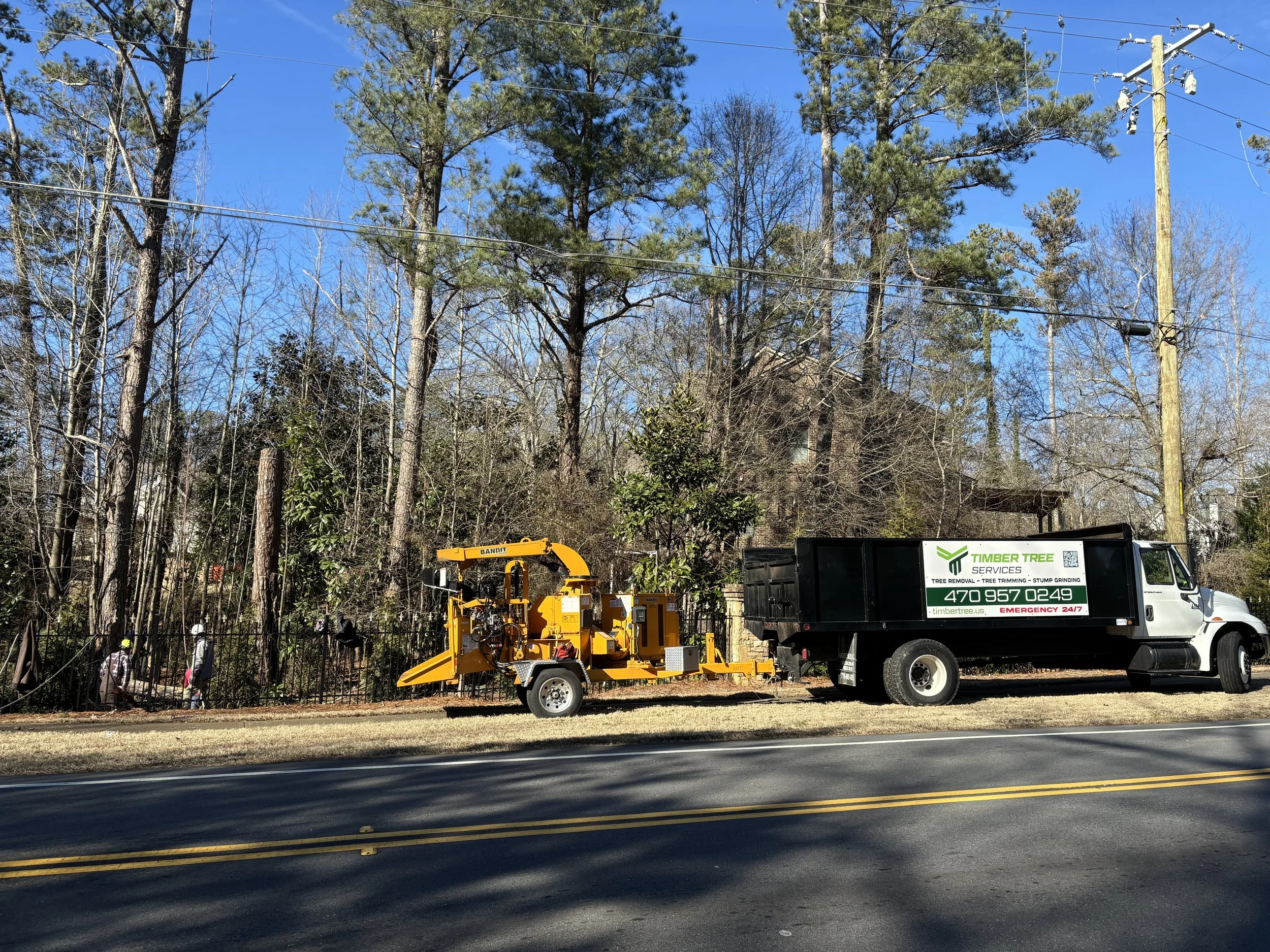 Timber Tree Services Commercial Tree removal workers operating heavy machinery near a wooded area, with utility poles and trees in the background, and vehicles parked on the side of the road.