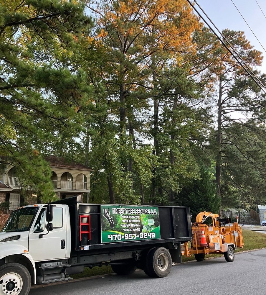 Timber Tree Services tree removal and landscaping fleet parked on a residential street ready for service