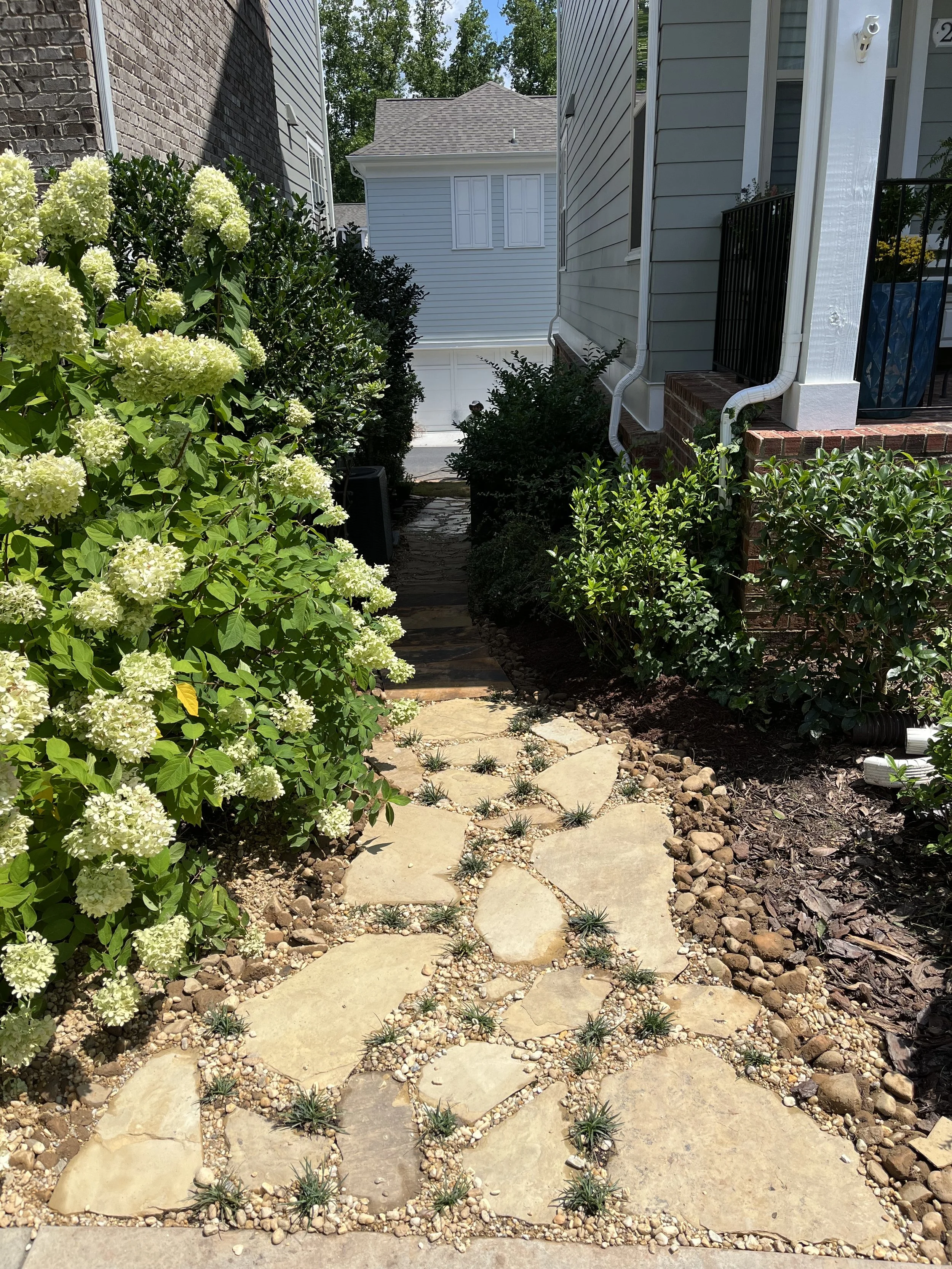 A narrow stone pathway with small plants growing between the stones, flanked by green bushes and white hydrangea flowers, leading towards a white garage in the background. On the right side, there's part of a house with blue siding, a brick porch, white gutters, and a black railing.