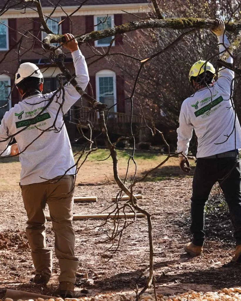 Two Timber Tree Services tree removal specialists in safety helmets cutting and removing a large tree branch in a residential yard