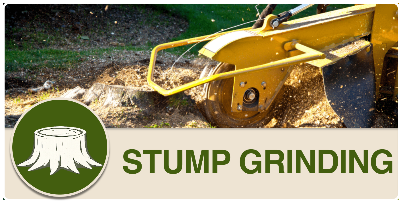 Timber Tree Services stump grinding machine removing a tree stump after residential tree removal service
