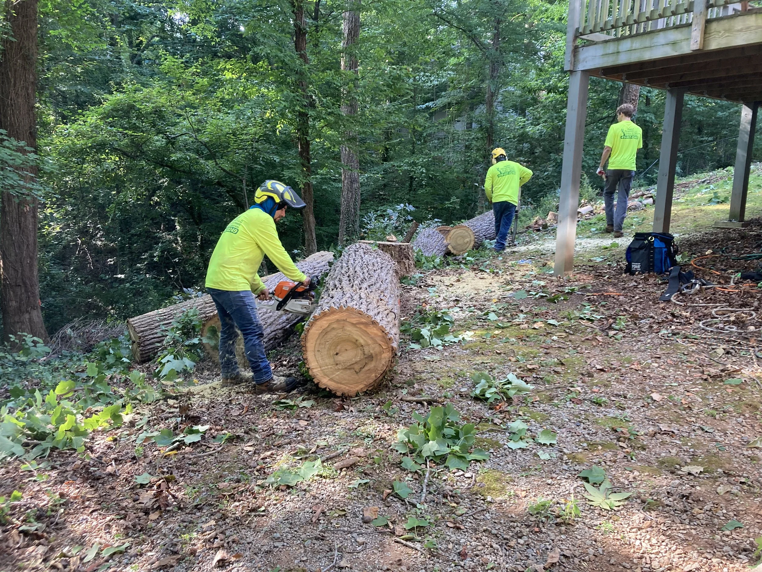 People in bright yellow shirts working with chainsaws to cut and move fallen trees and branches in a wooded area near a wooden deck.