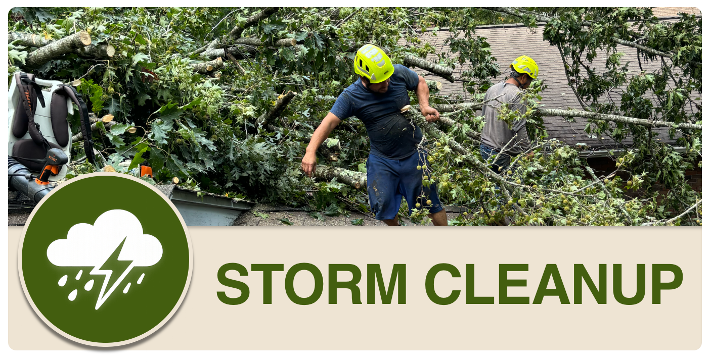 Two men wearing yellow helmets clearing fallen tree branches after a storm, with gardening tools nearby, in front of a house.