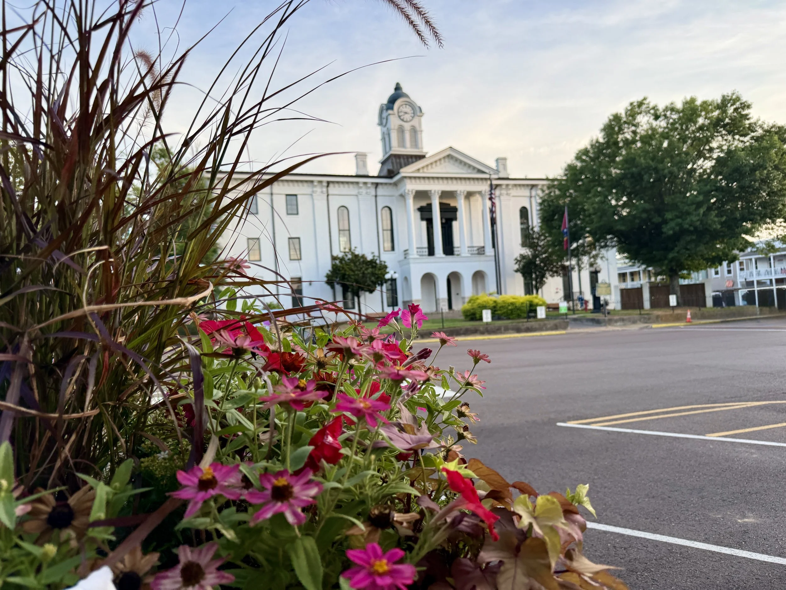 Spring in Oxford MS