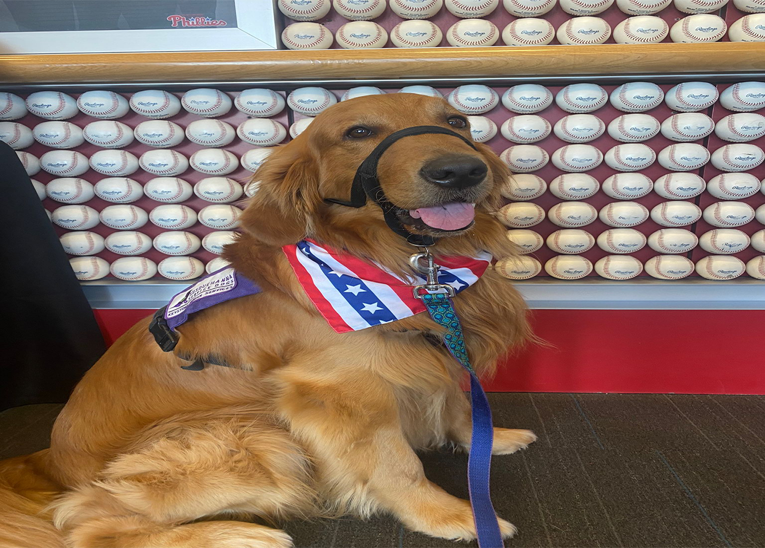 Service Dog Etiquette