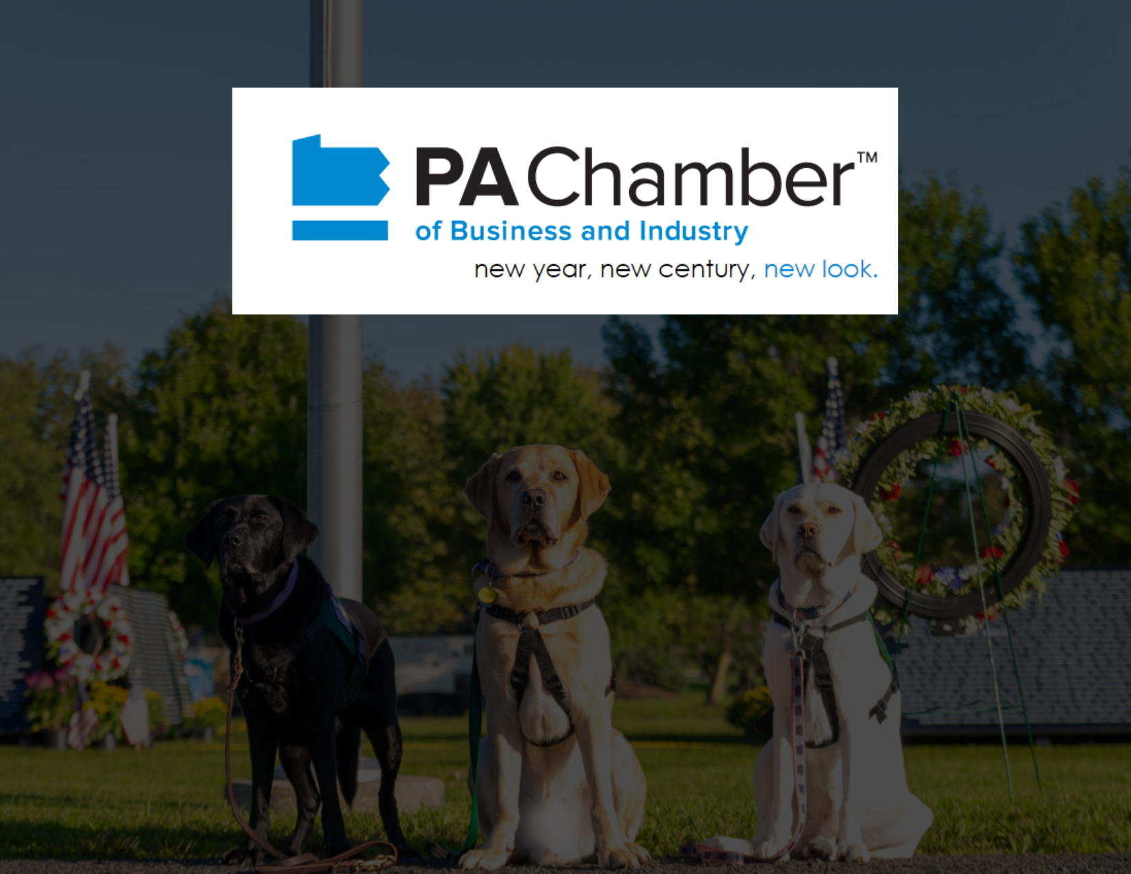 Team Foster: Connecting Veterans, Service Dogs & Businesses Across PA - PA Chamber