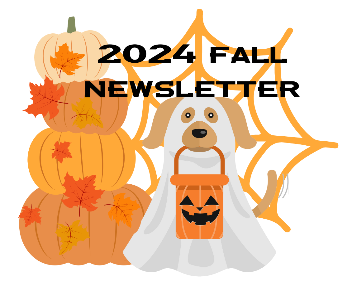 Team Foster Fall Newsletter