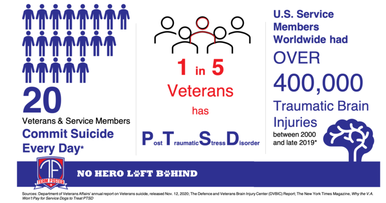 Veteran Suicide