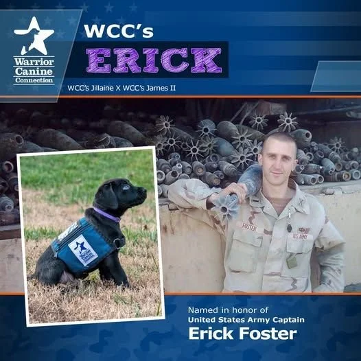 Warrior Canine Connection Names Service Dog After Cpt. Erick Foster: A Tribute to His Legacy