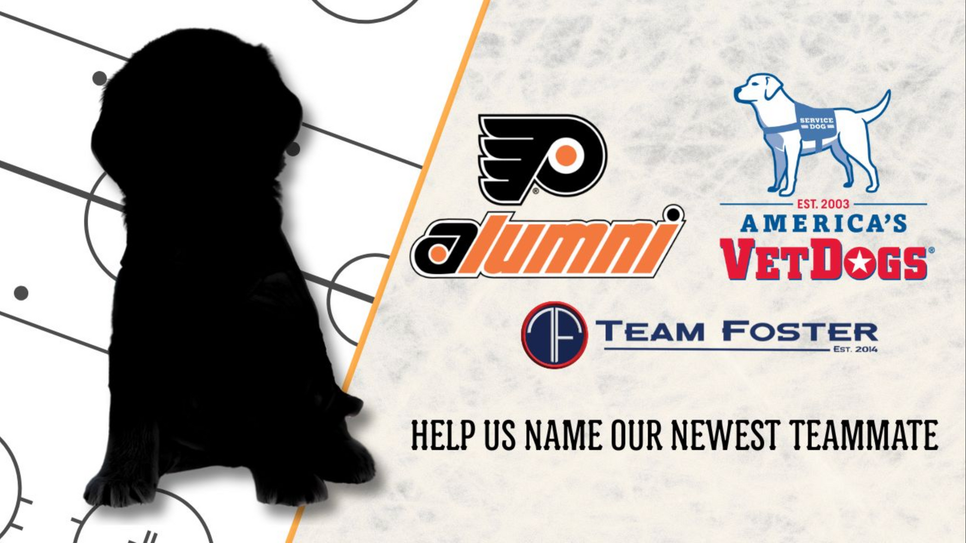 Flyers Alumni, Team Foster, and America's Vetdogs to Provide a Future Service Dog — And Fans Get to Name the Pup!