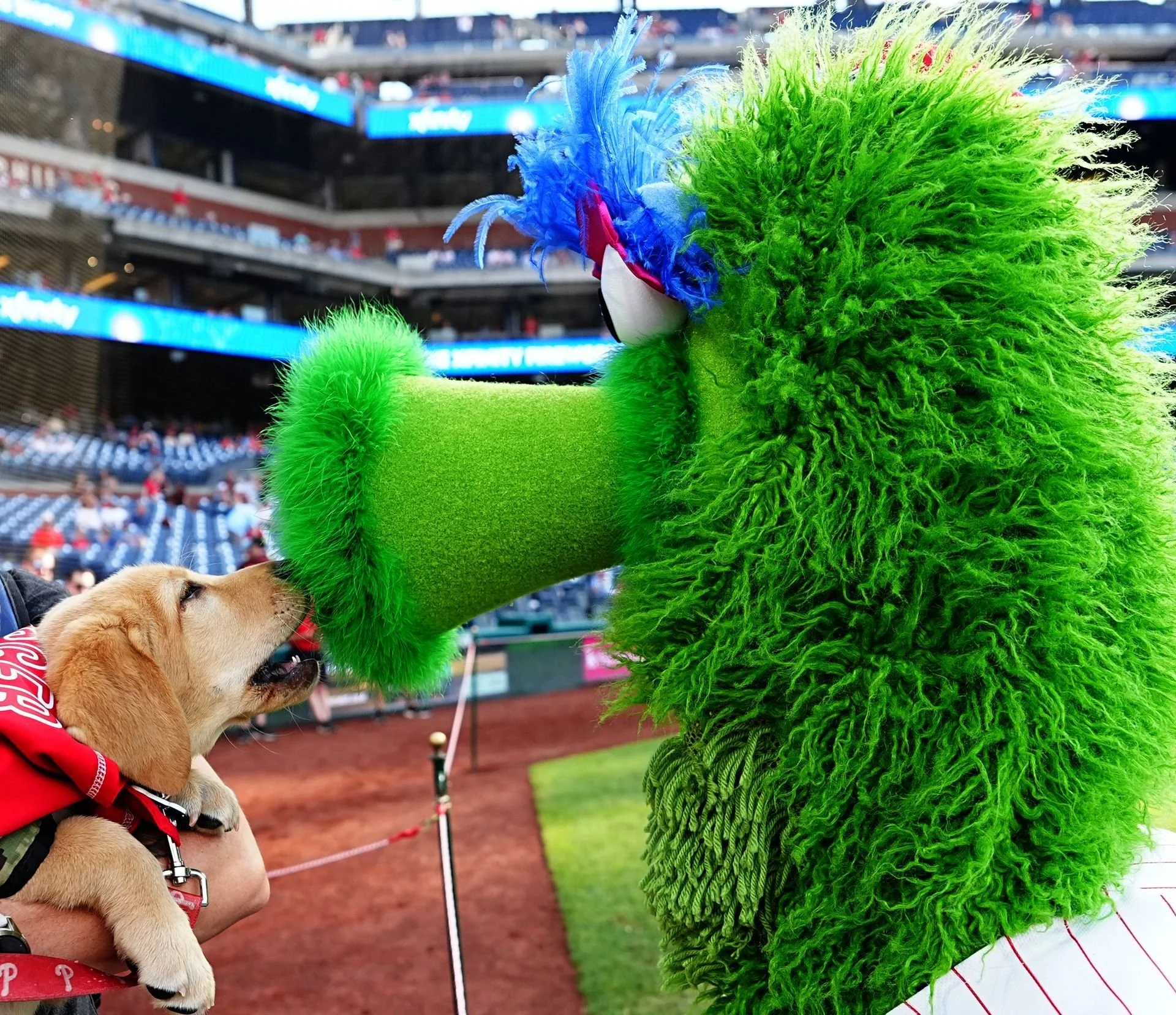 Meet Tugger - In Partnership with Phillies Charities