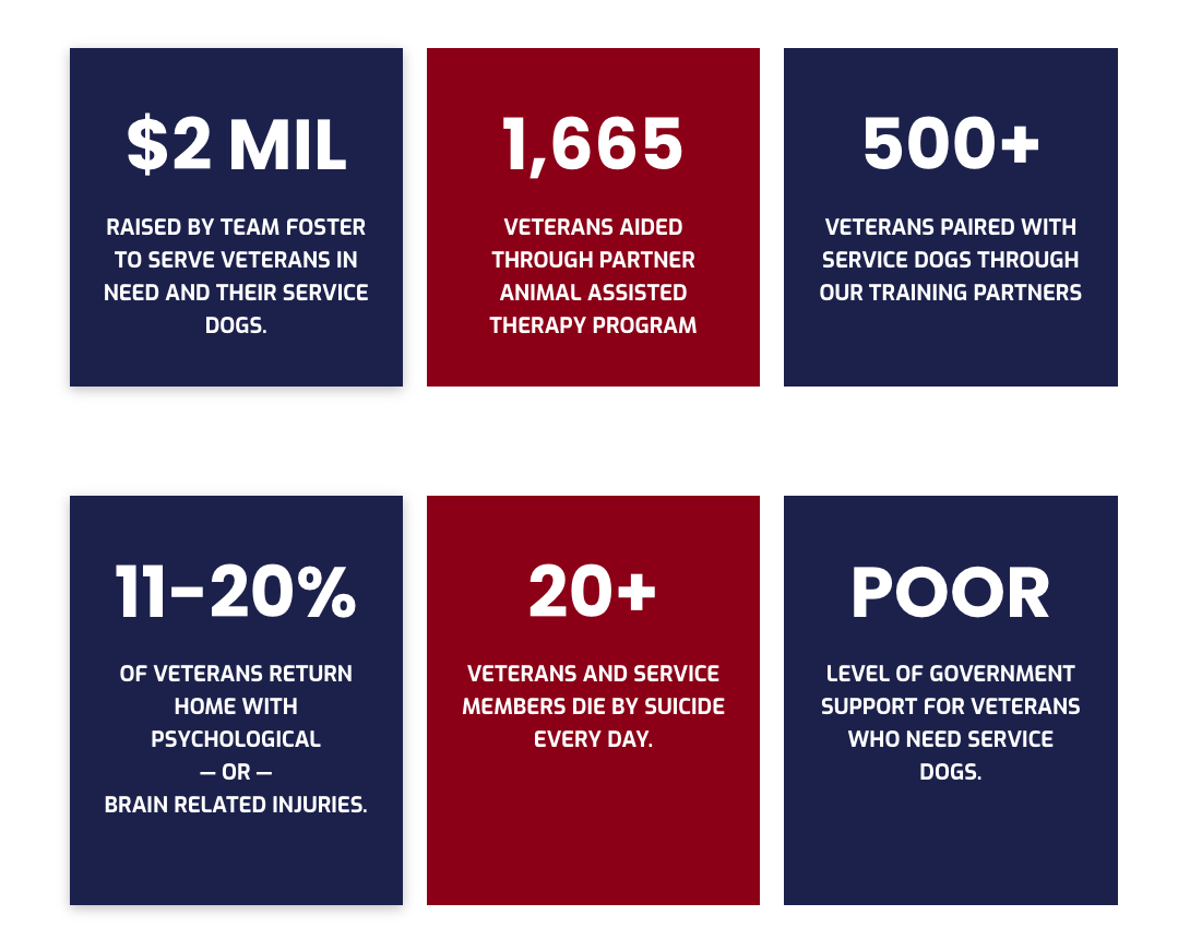 An infographic with statistics about veterans and service dogs, including amounts raised, number of veterans aided, and related mental health issues.