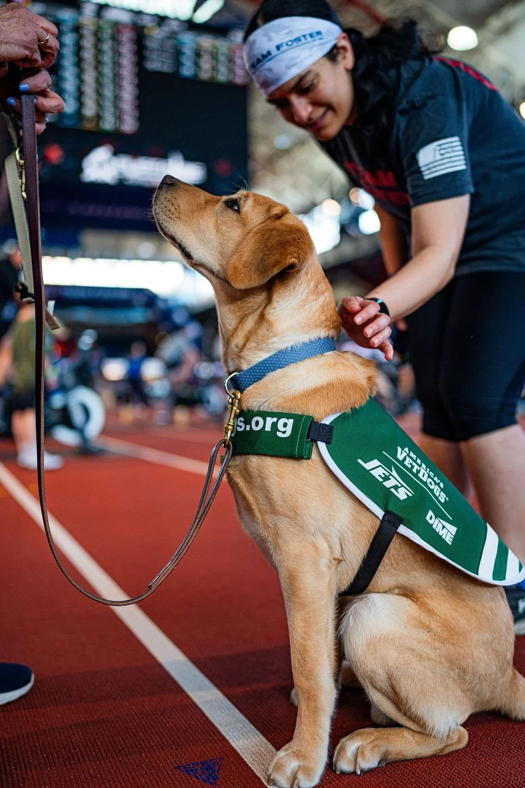 A service dog, a golden retriever, sitting on a track with a person in a black shirt and white headband. The dog wears a green vest with the words "Vets Vet Dogs" and "JETS", and a blue collar. The scene appears to be at a sports or event venue with blurred people and equipment in the background.