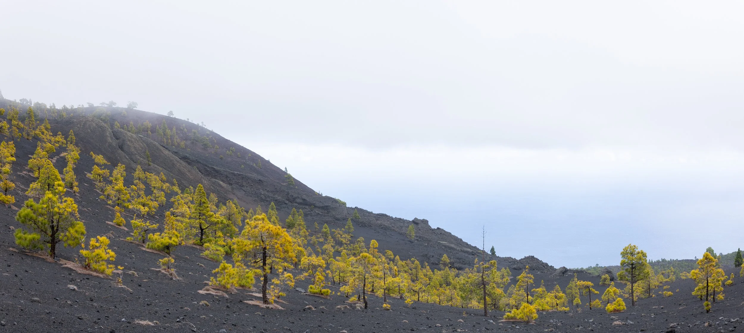 GVDS_260408_0539-Pano.jpg