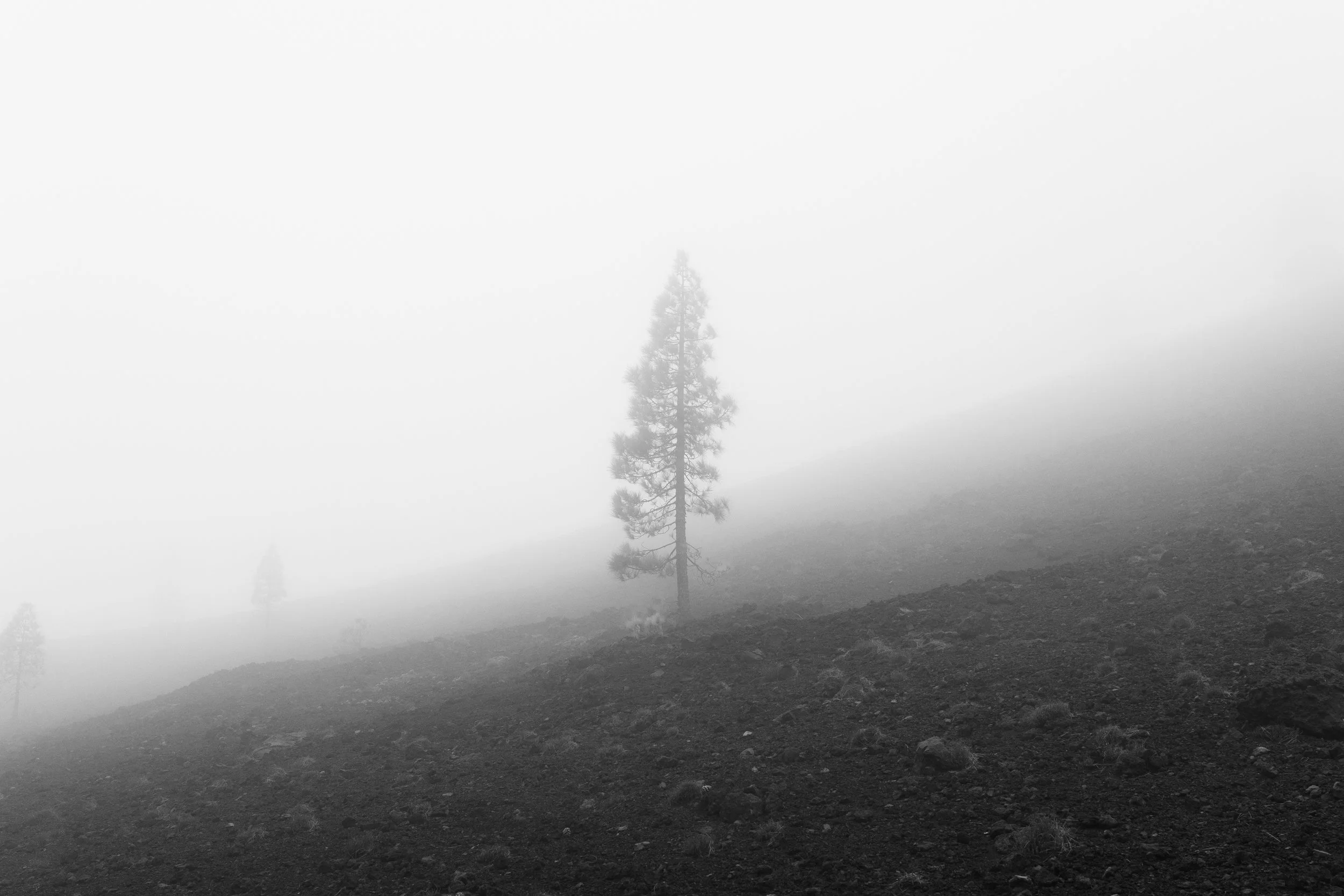 GVDS_260408_0521.jpg