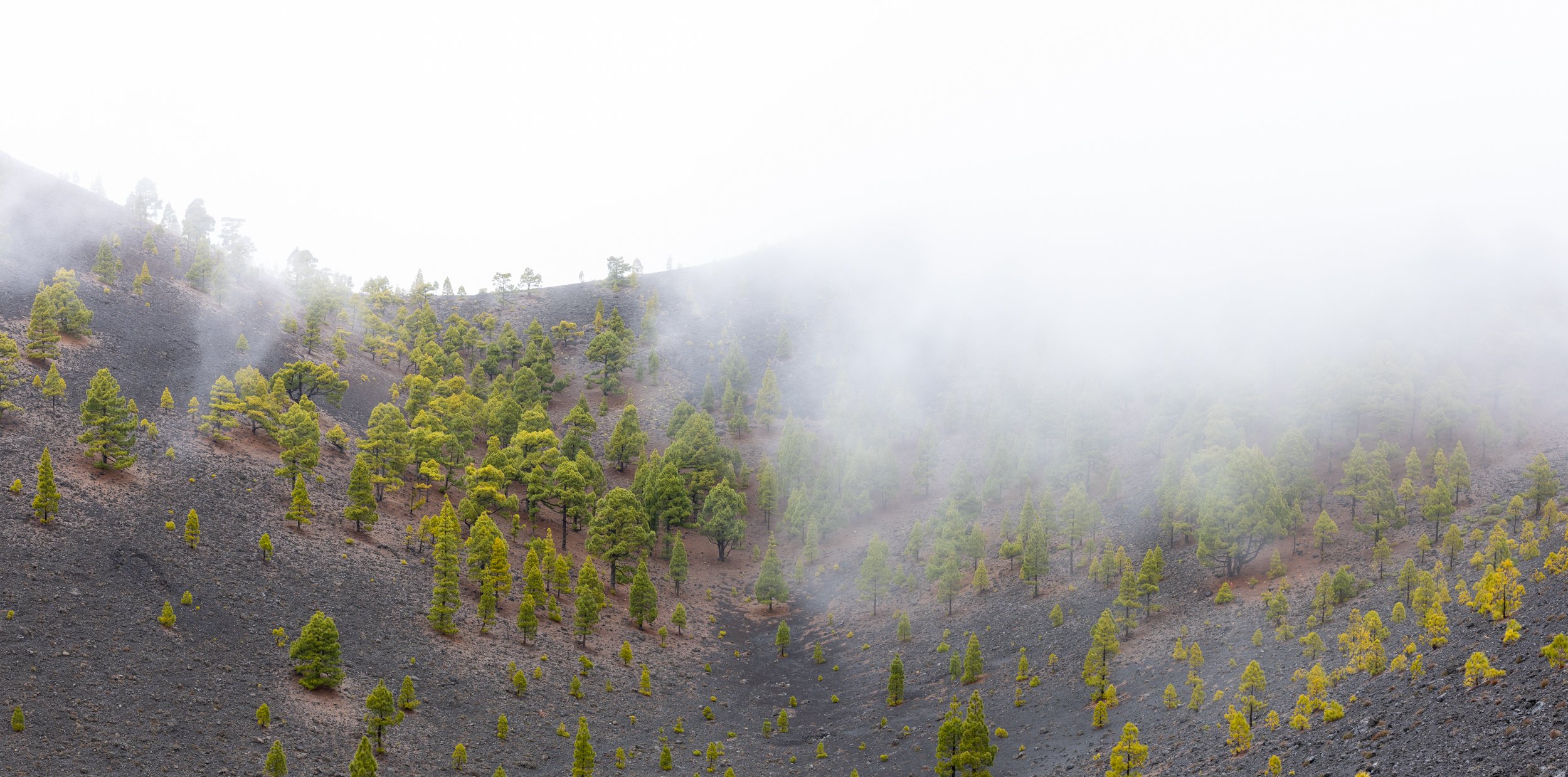 GVDS_260408_0513-Pano.jpg