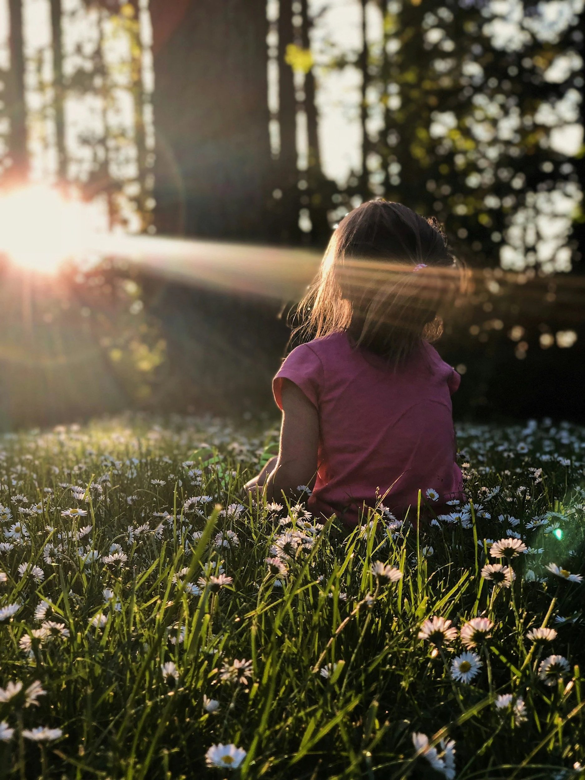 En flicka i rosa som sitter på en blomsteräng med vita blommor, solnedgång i bakgrunden, träd i bakgrunden, ljuset från solen skiner in i bilden.