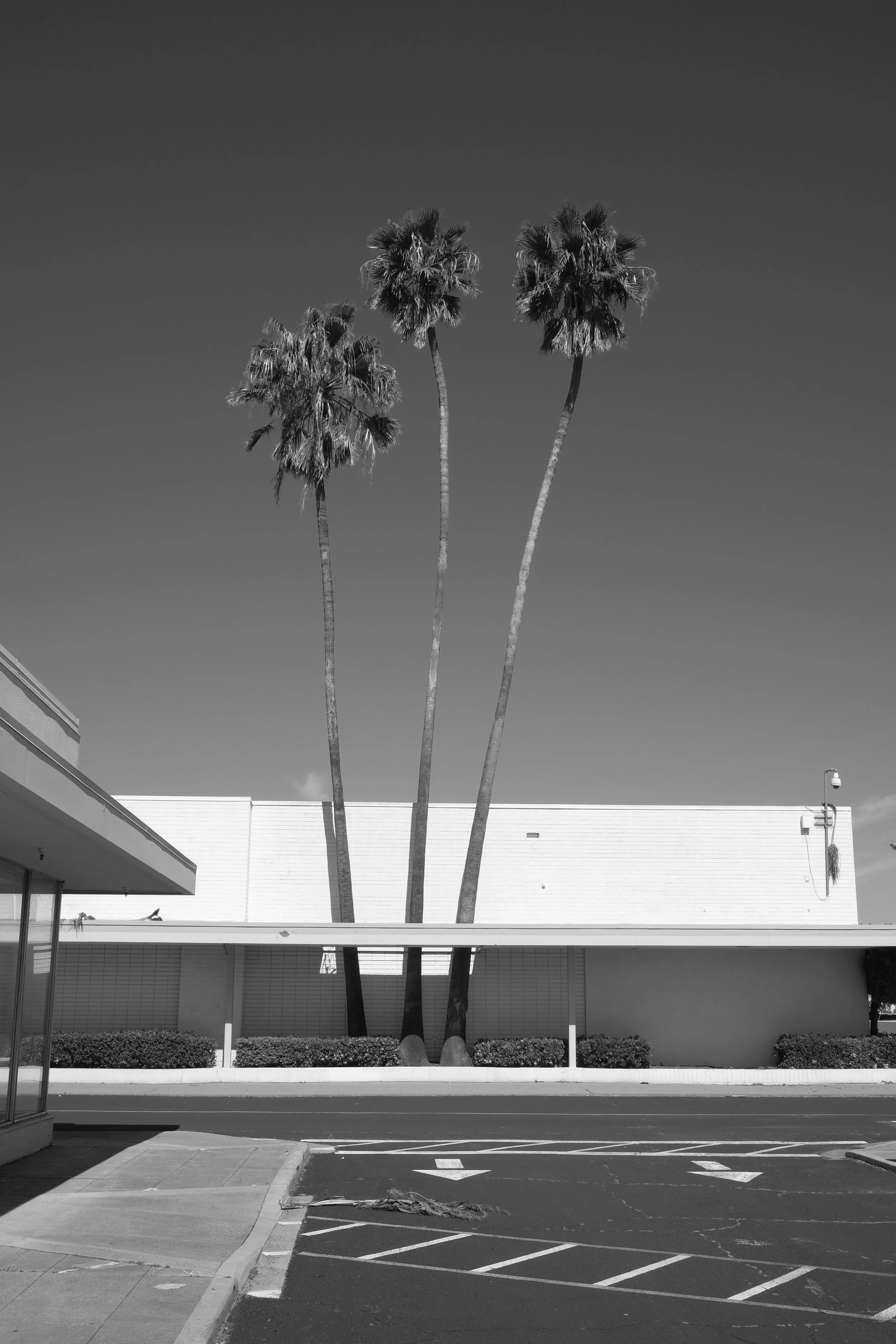 DSCF5826.JPG