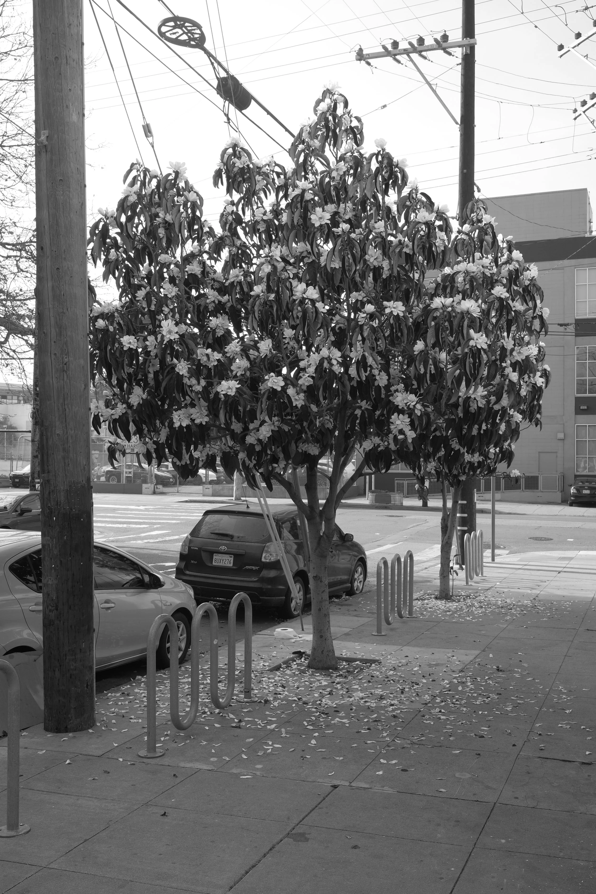 DSCF5653.JPG