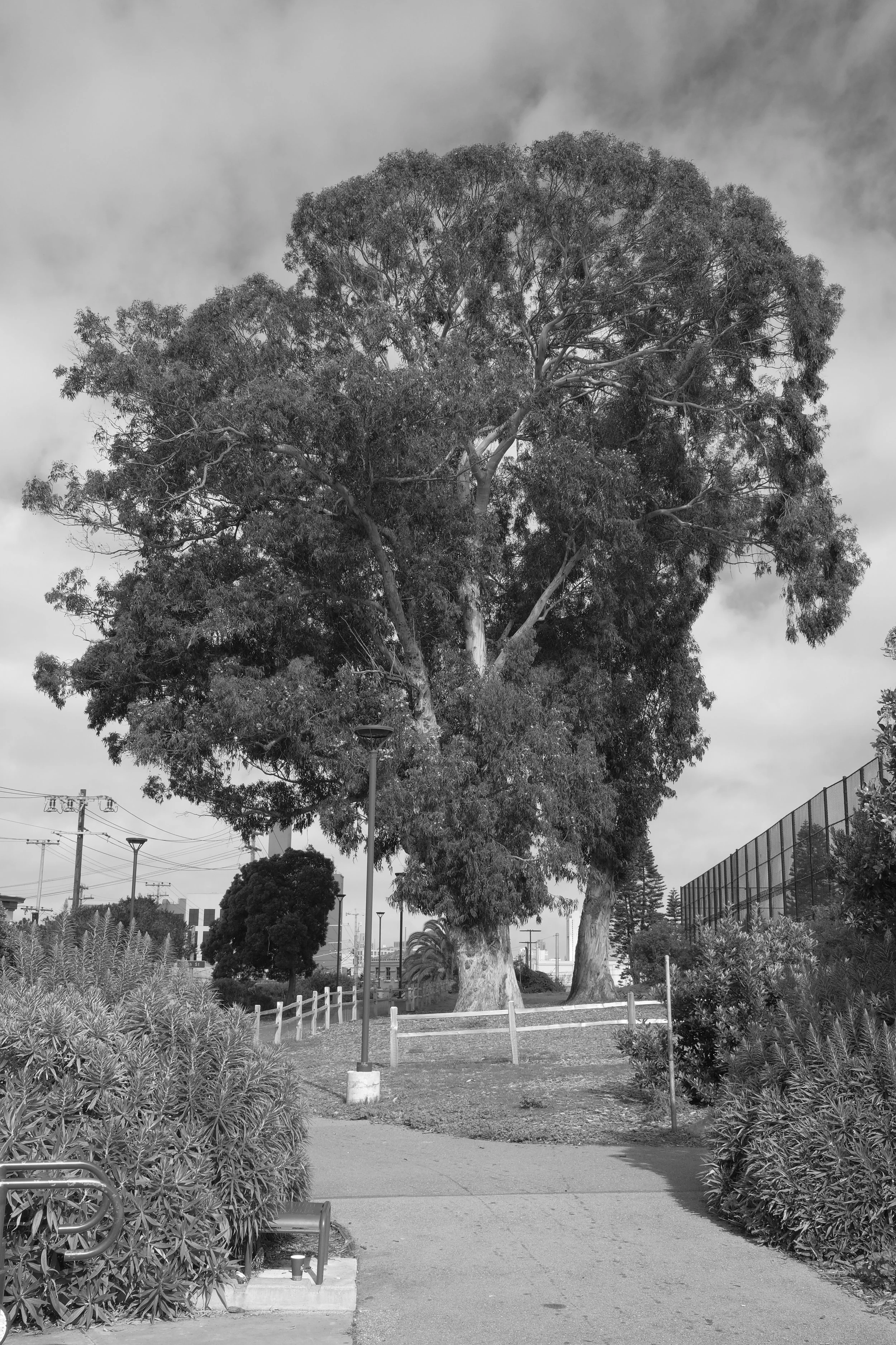 DSCF5708.JPG