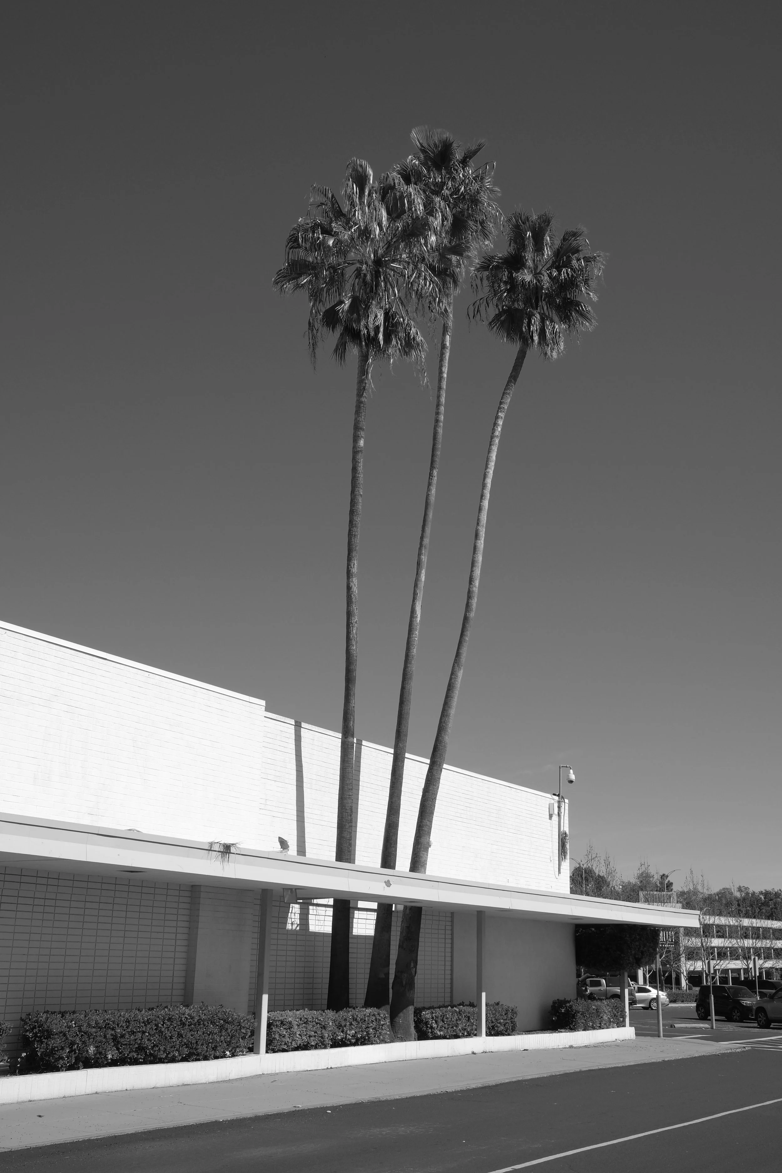 DSCF5829.JPG