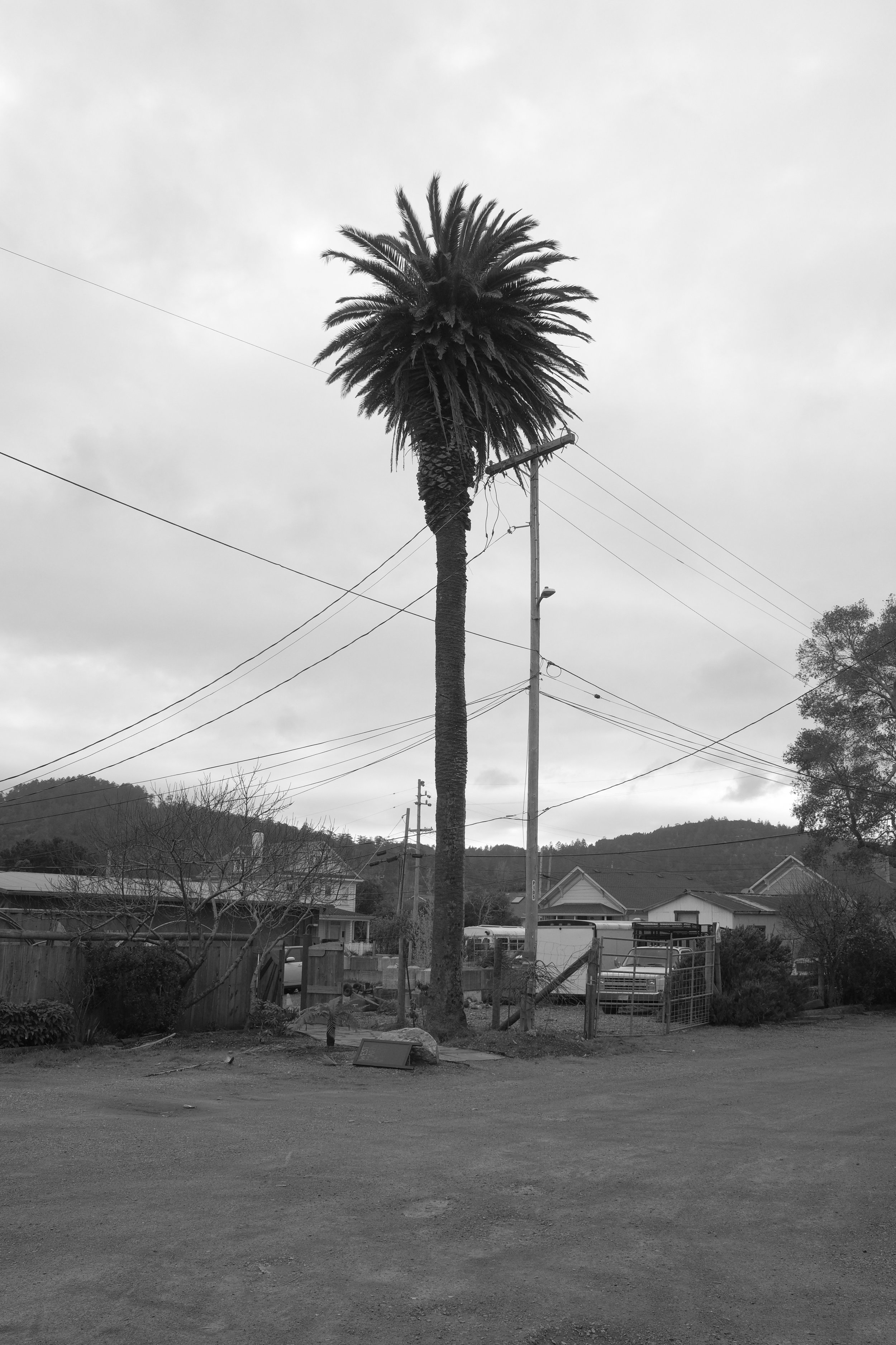 DSCF5751.JPG