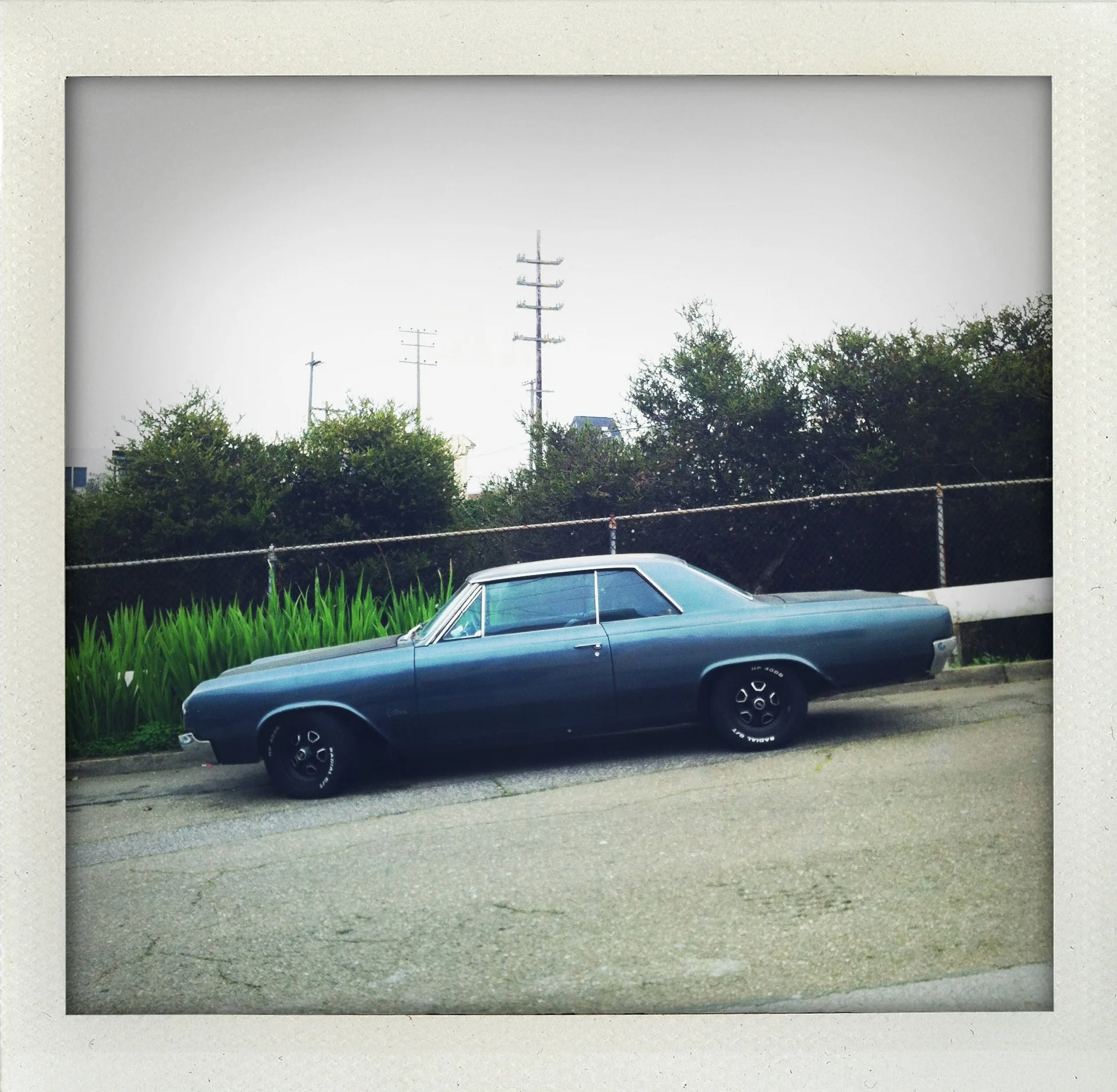 IMG_3263.JPG