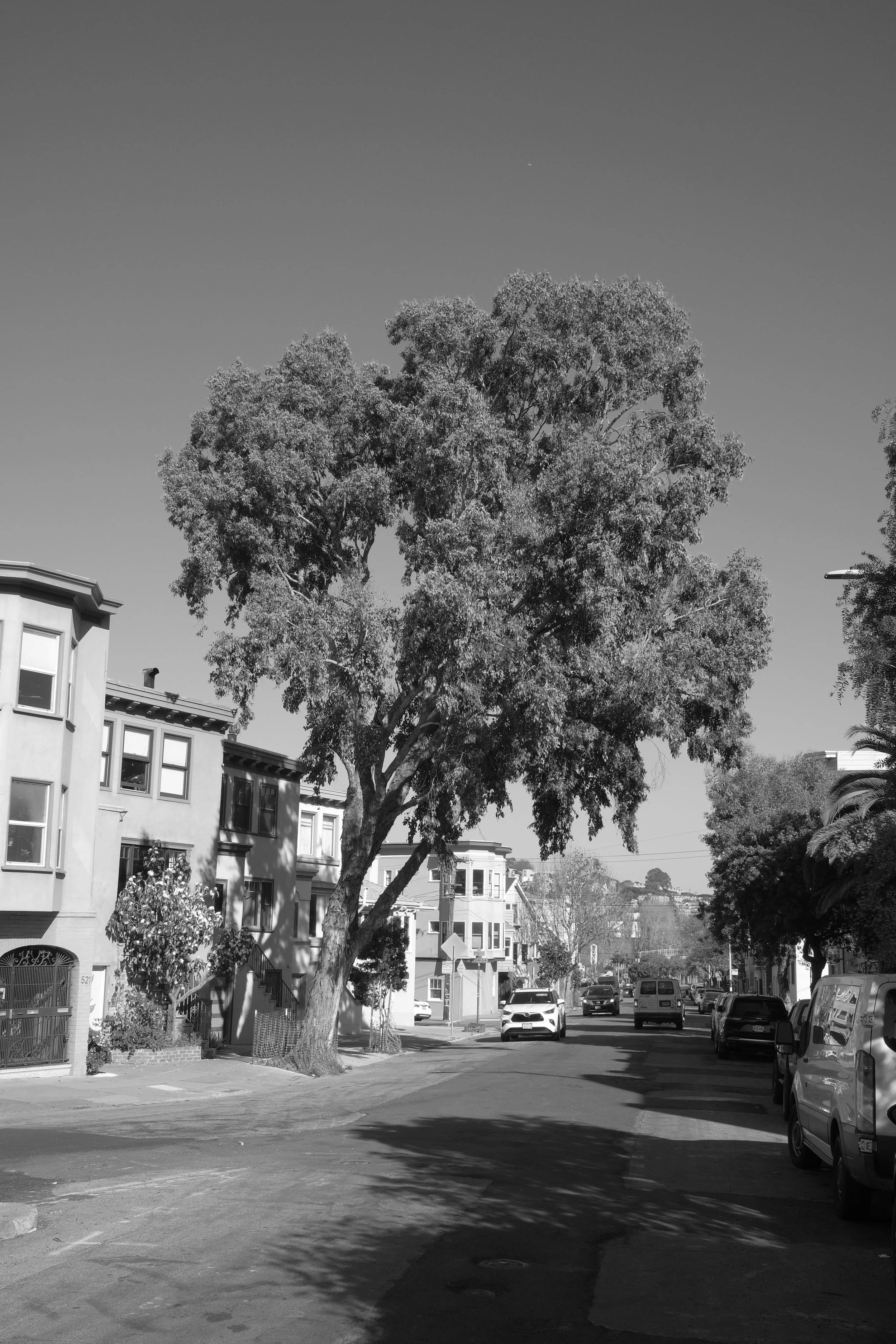 DSCF5690.JPG