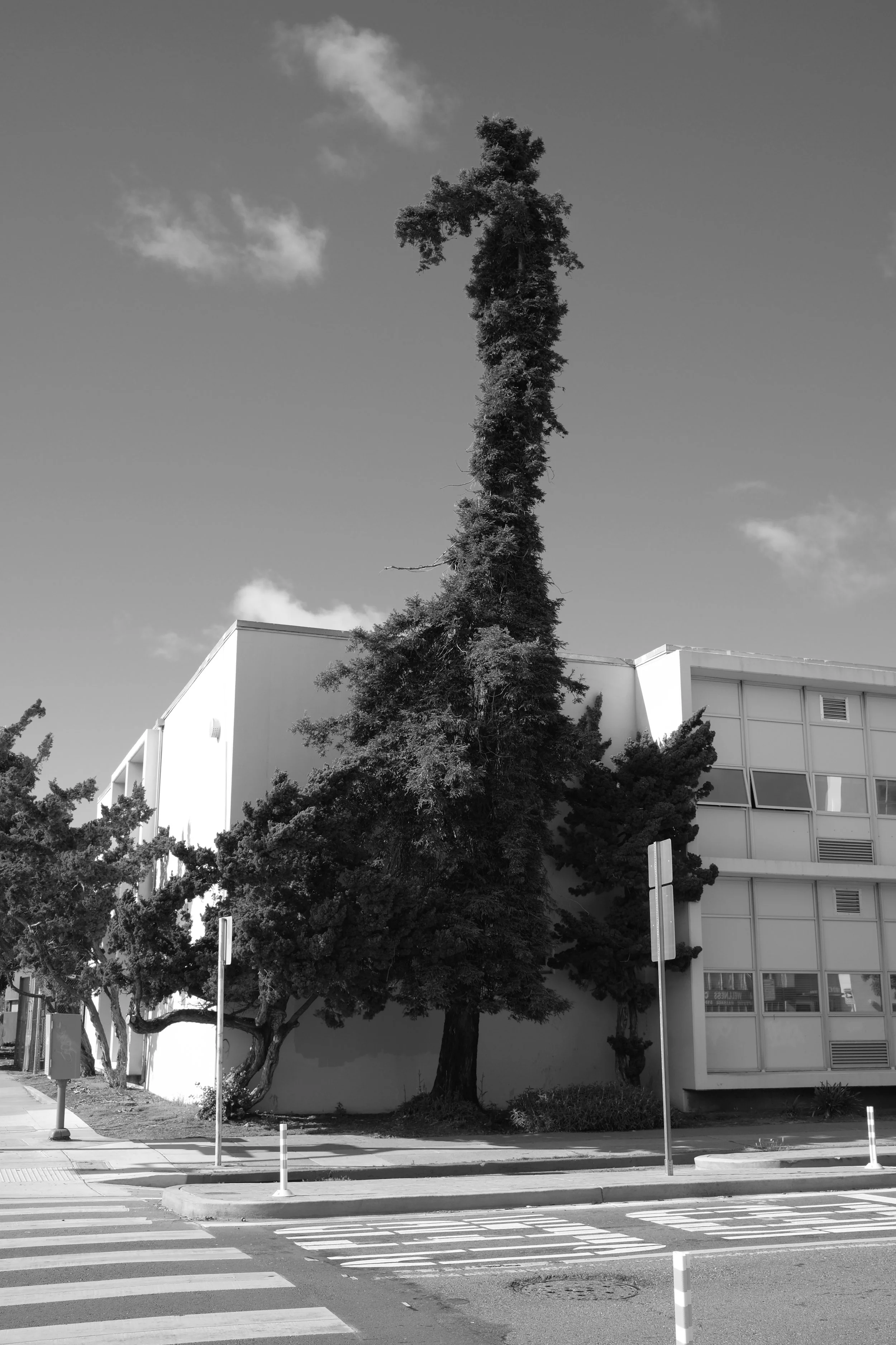 DSCF5792.JPG