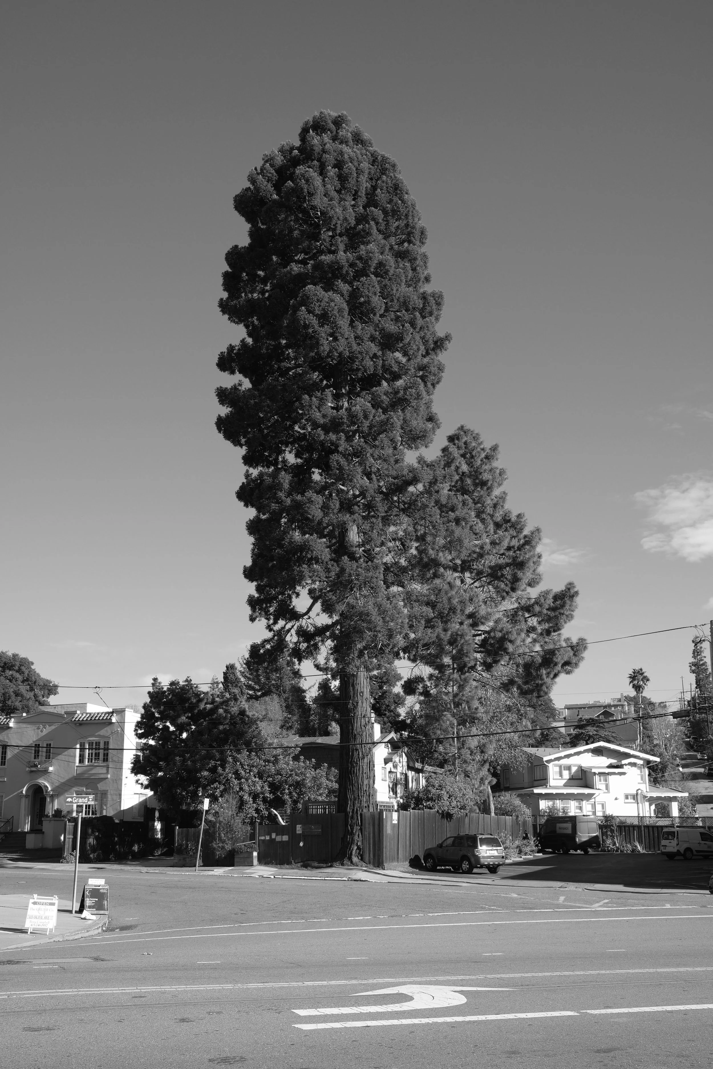 DSCF5793.JPG