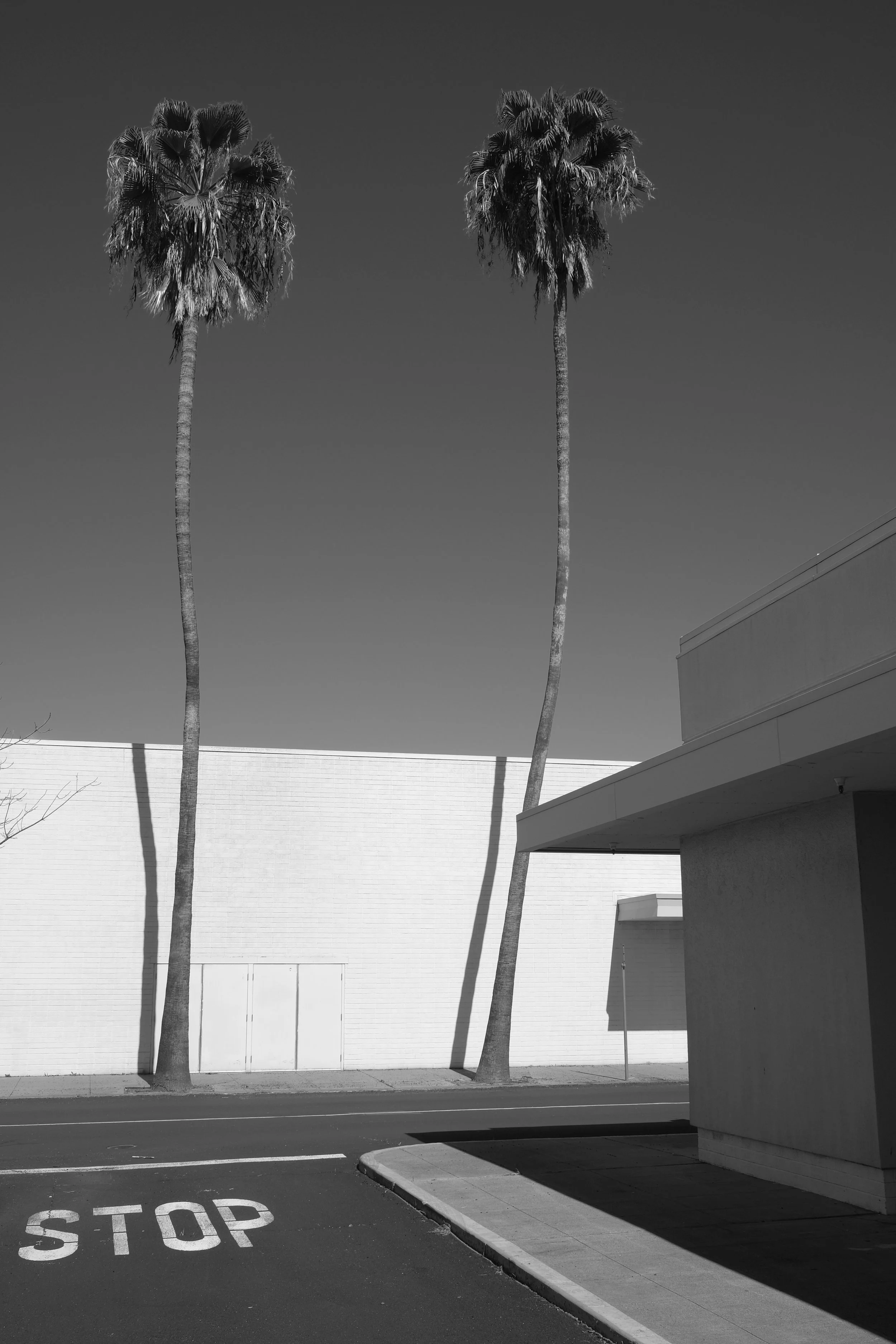 DSCF5831.JPG