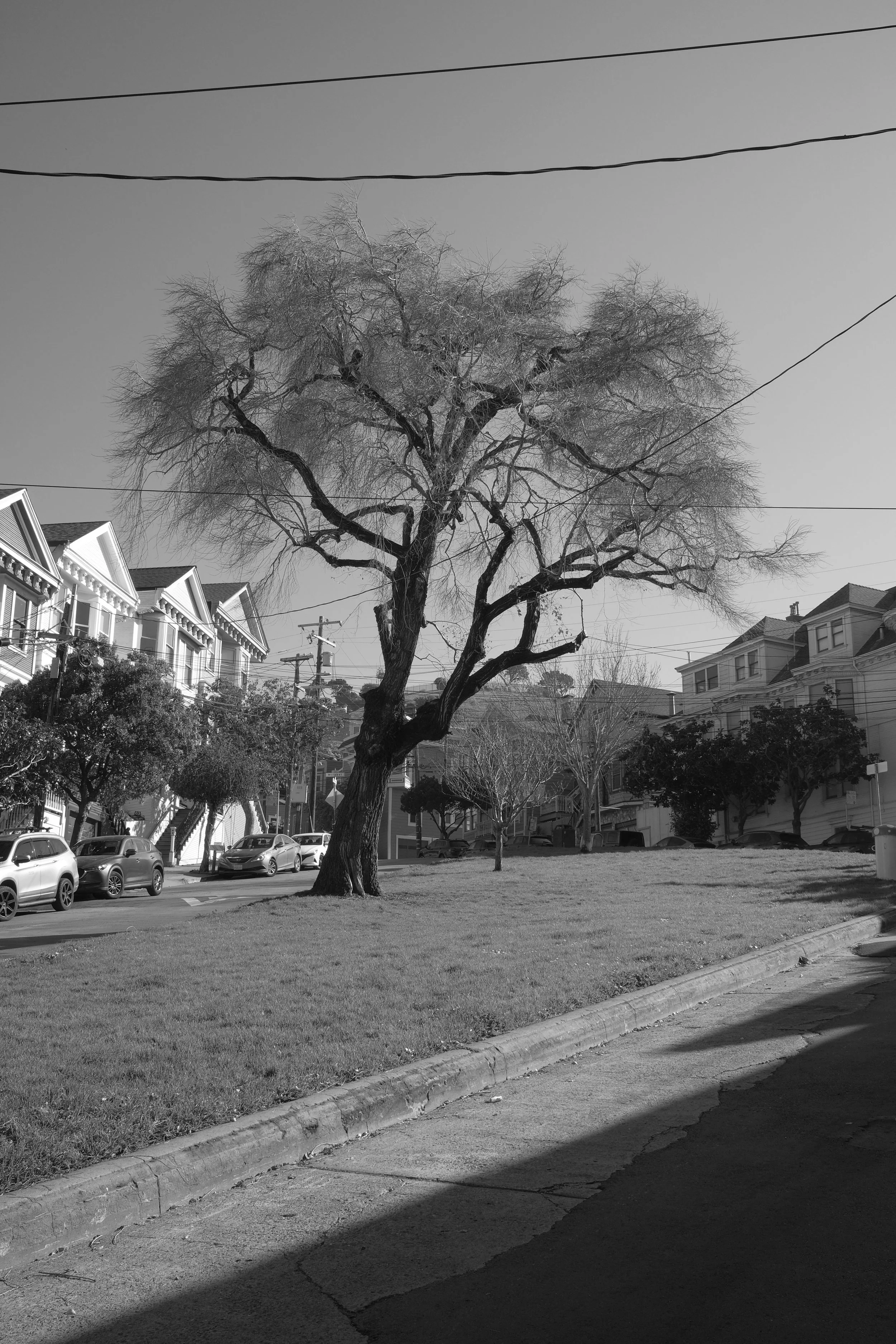 DSCF5702.JPG