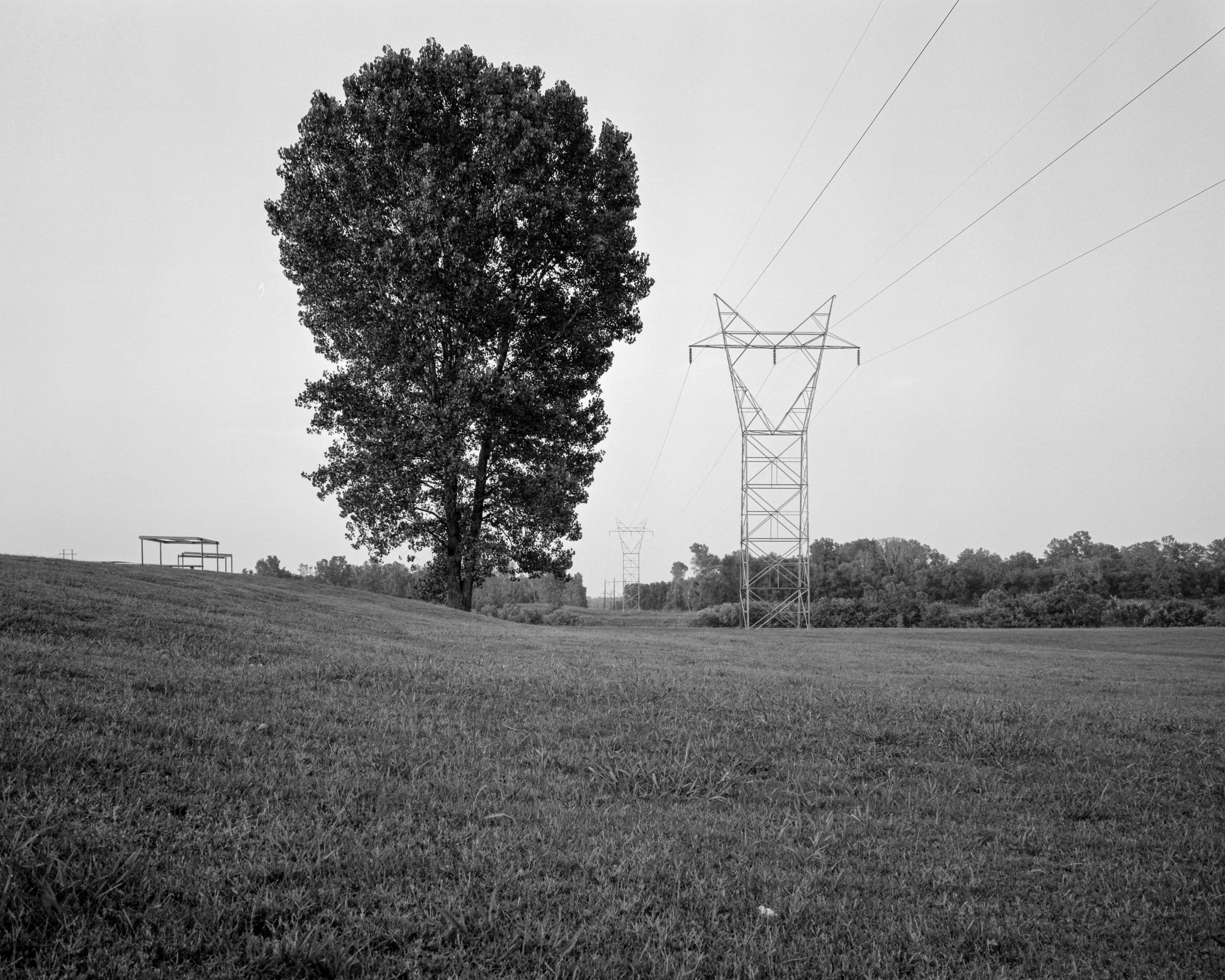 TreePowerline_CatoosaOK_5Aug2002.jpg