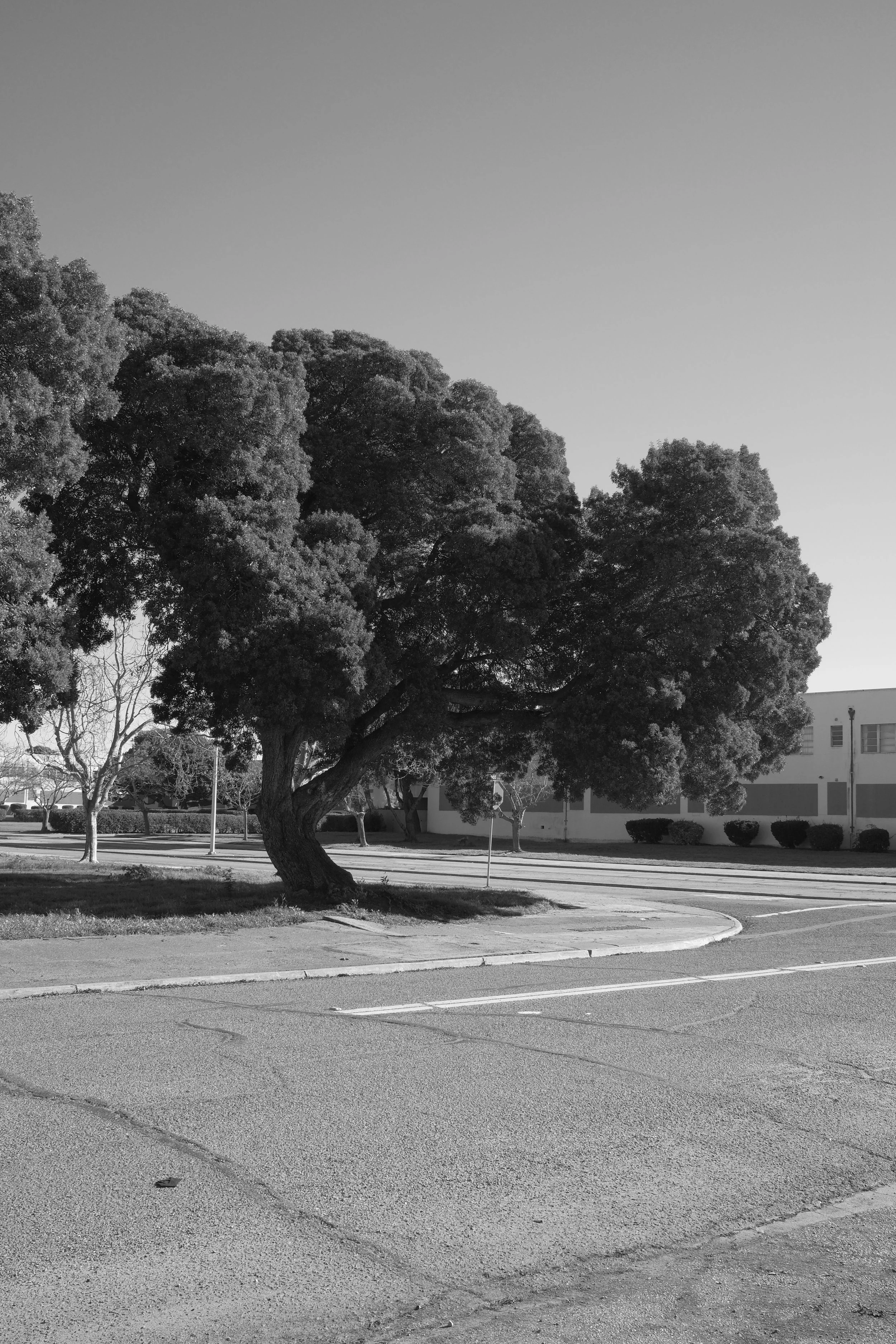 DSCF5644.JPG