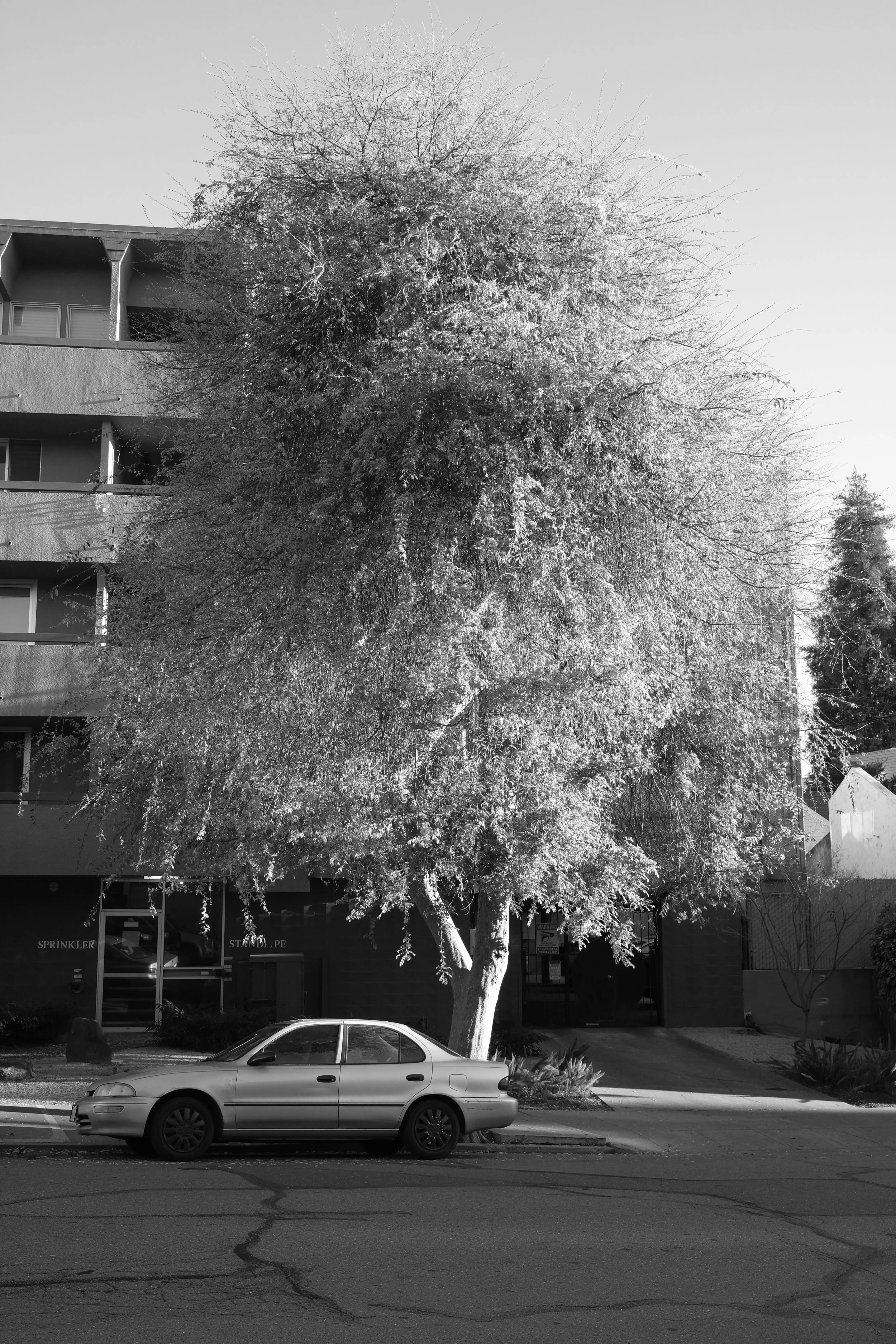 DSCF5808.JPG