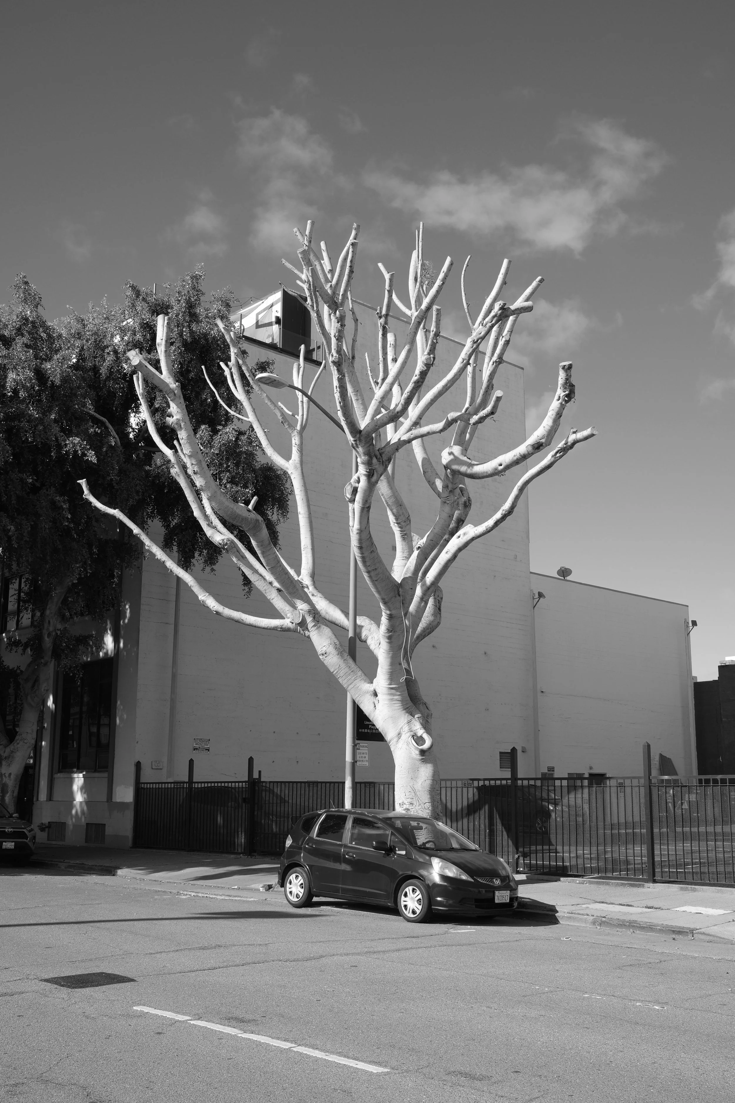 DSCF5787.JPG