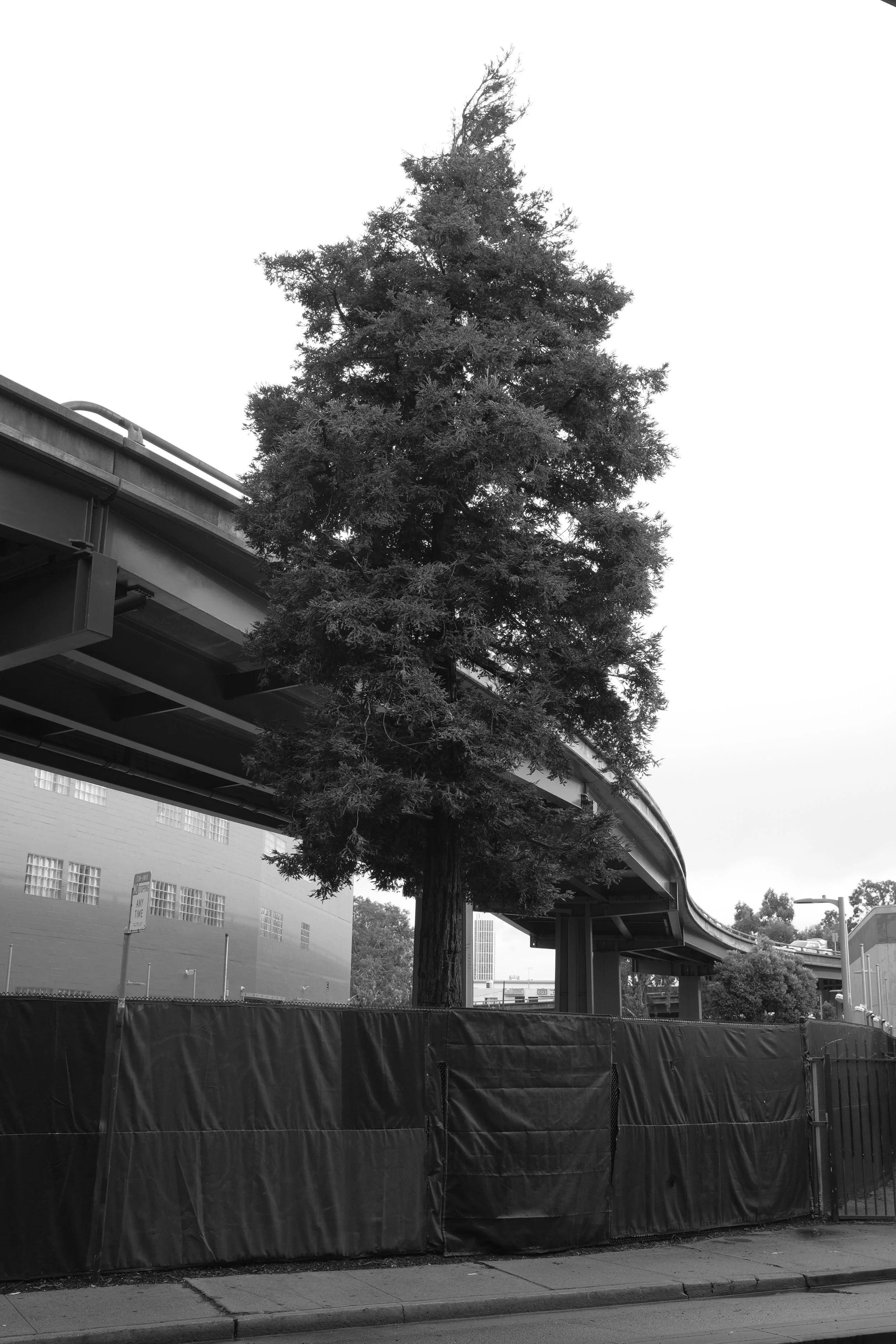 DSCF5716.JPG