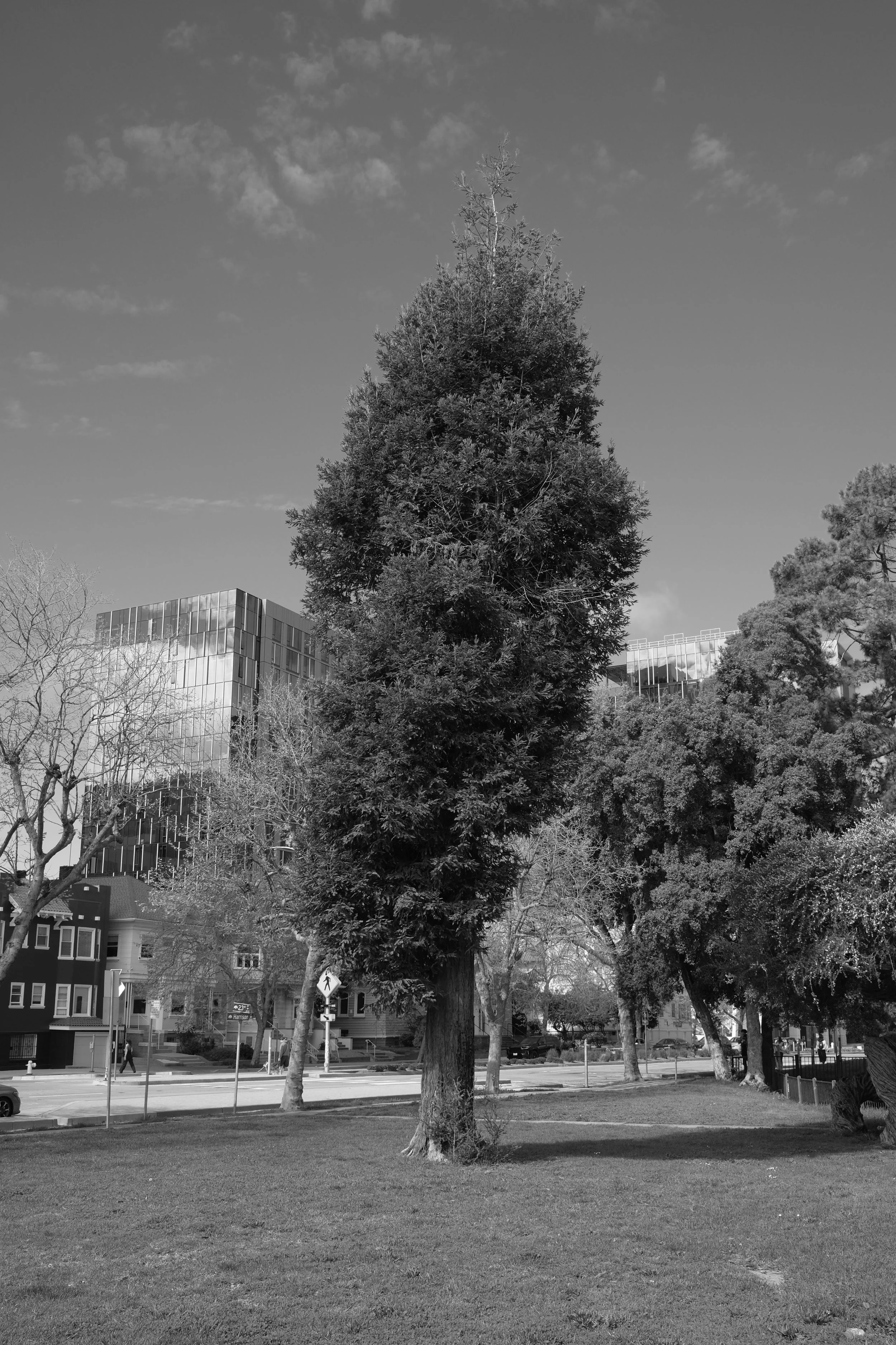 DSCF5774.JPG