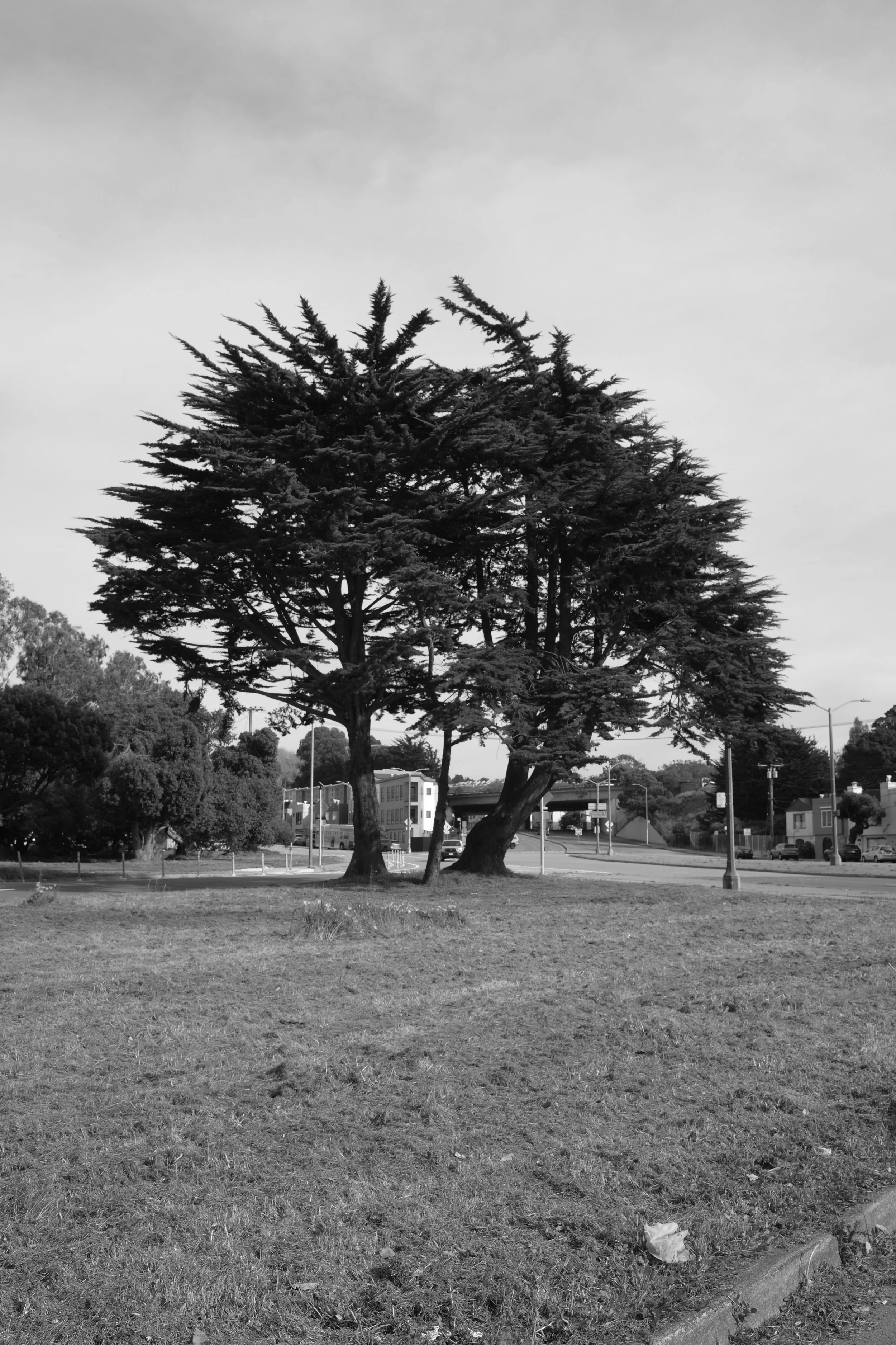 DSCF5822.JPG