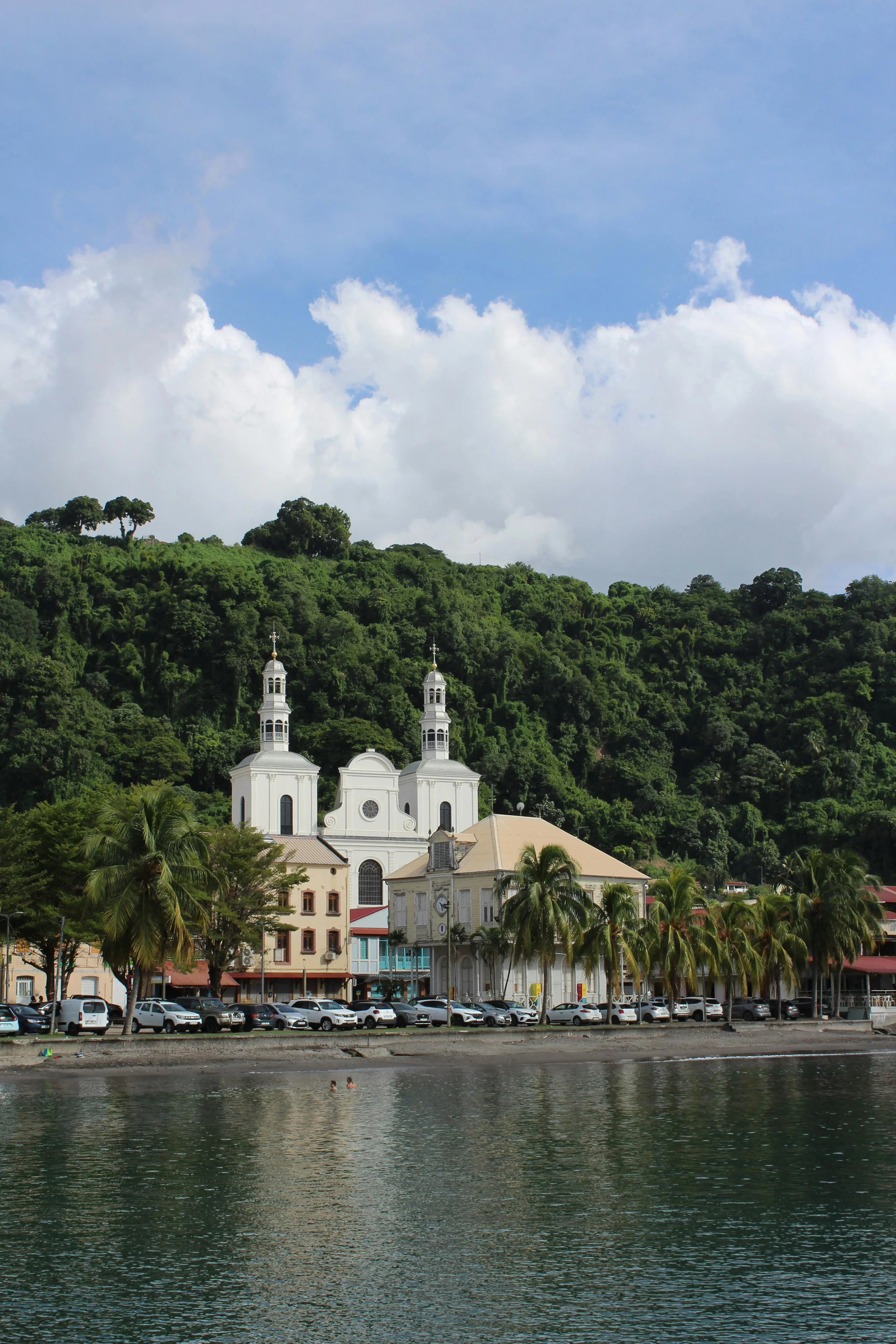 A white church with twin steeples located on a hillside, surrounded by trees and buildings, with a body of water and palm trees in the foreground under a partly cloudy sky.