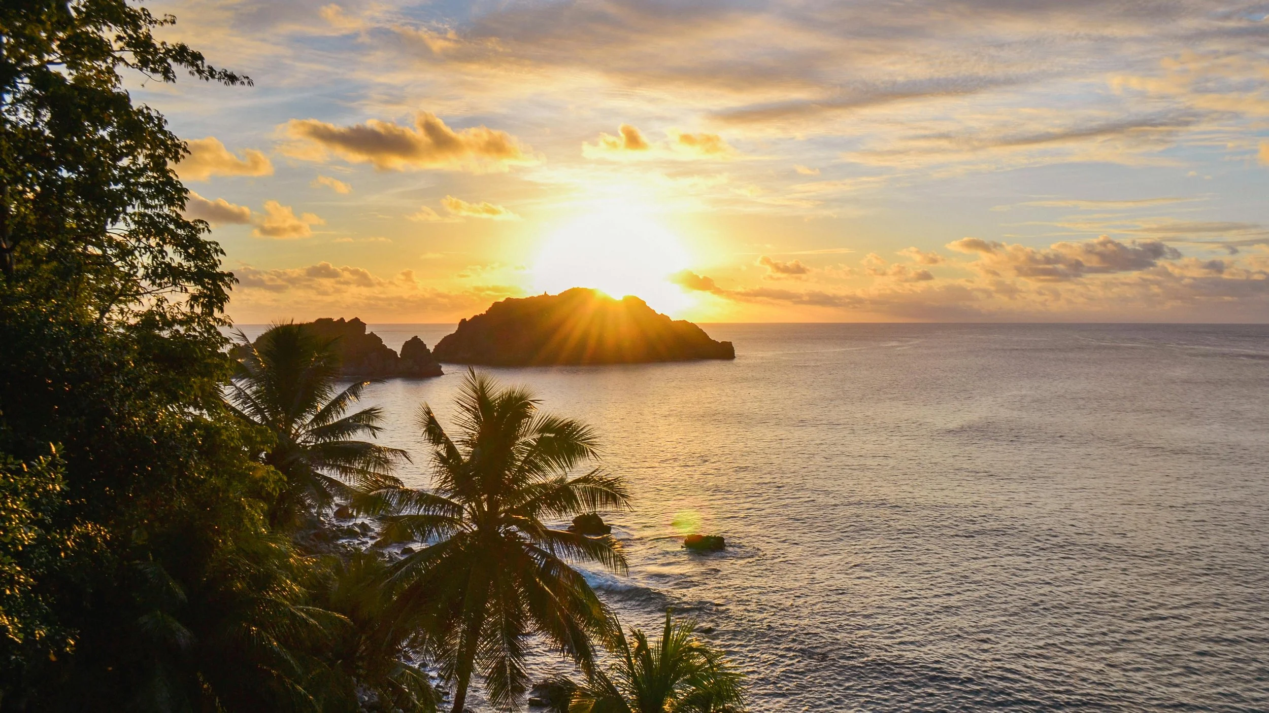 Sunset over ocean with rocky island, surrounded by palm trees and greenery in foreground.