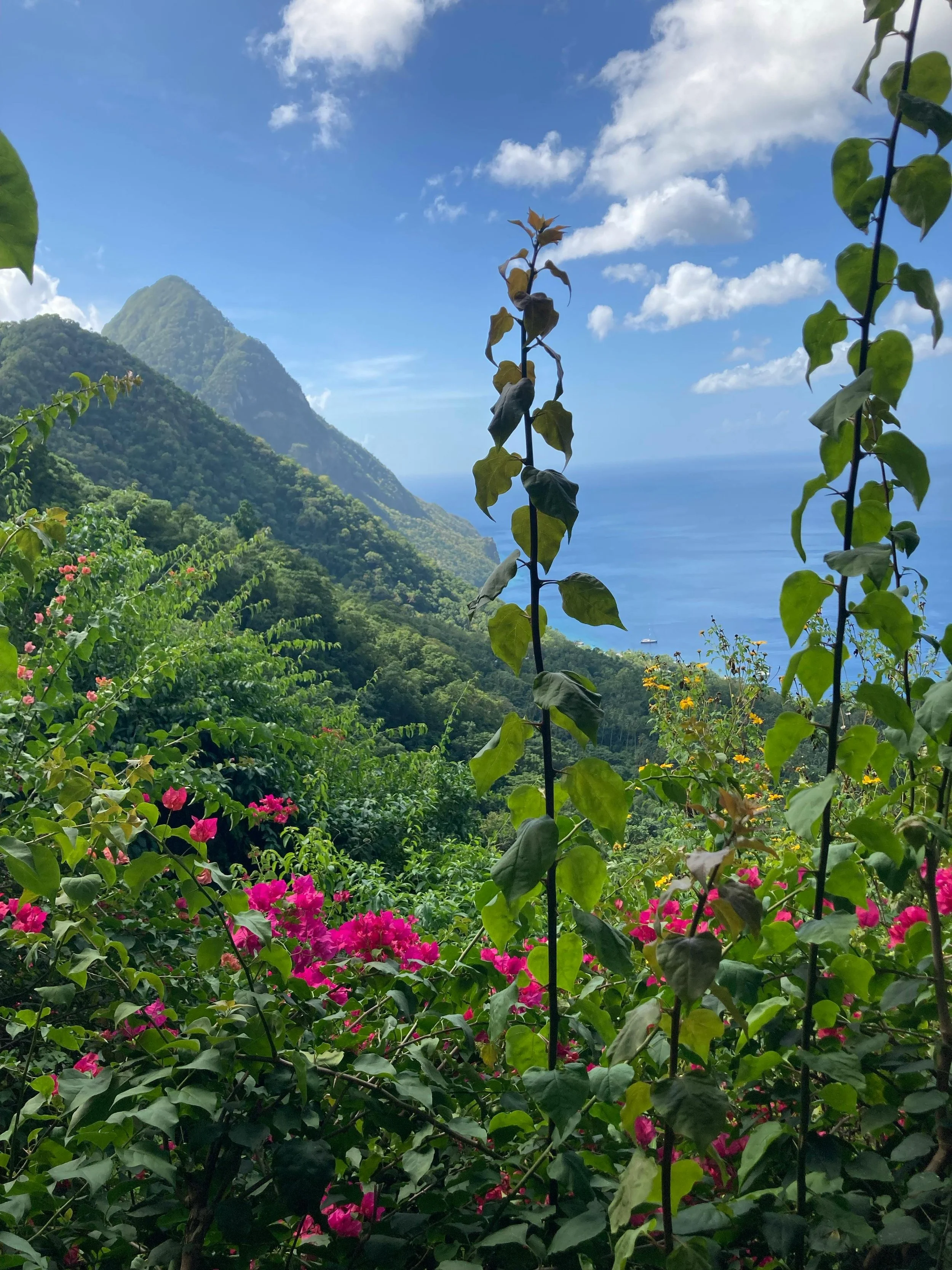 Scenic view of lush green mountains with a coastal ocean in the background under a blue sky with scattered clouds.