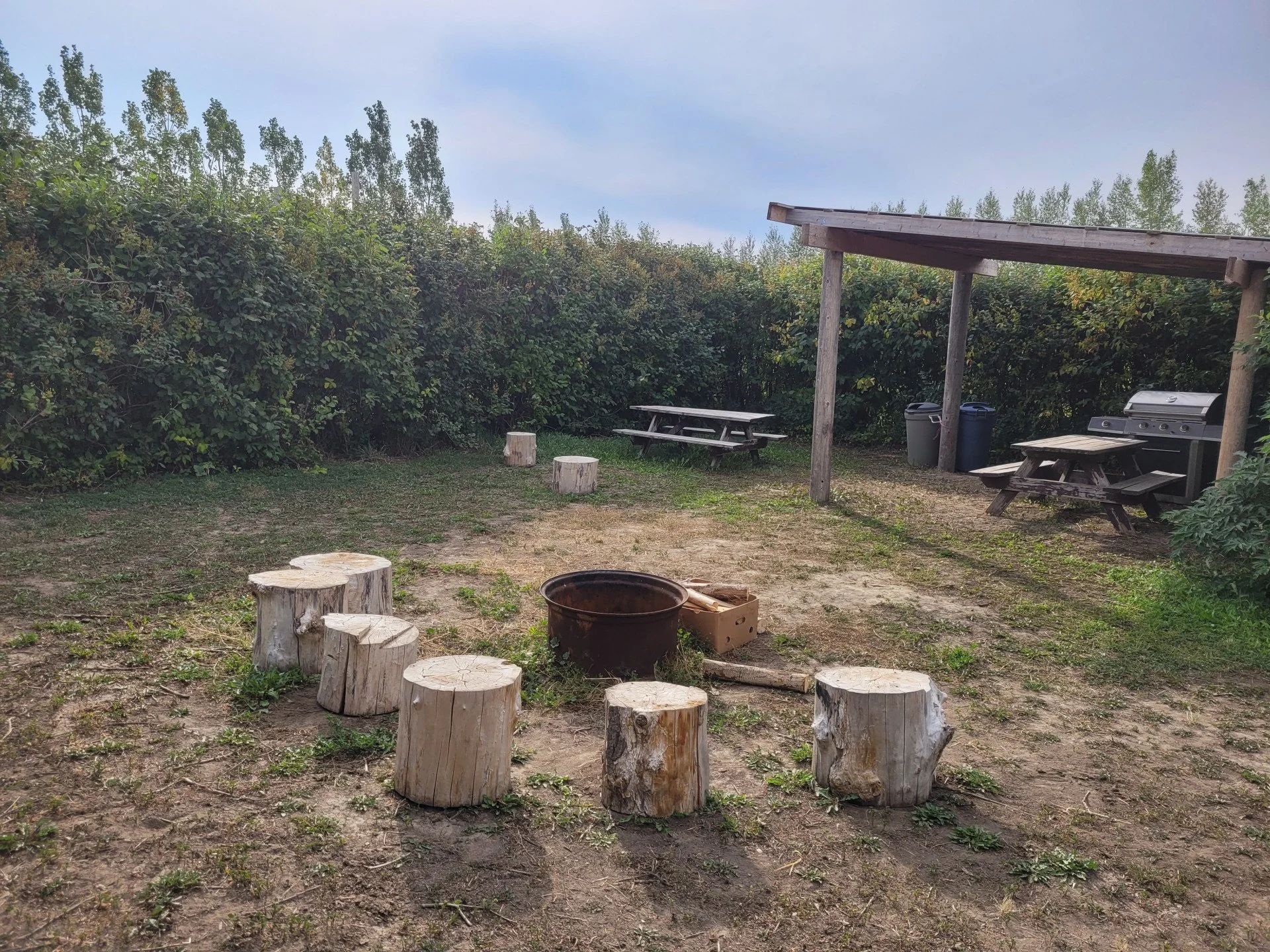 Outdoor gathering area with wooden stumps arranged in a circle, picnic tables, a grill, trash cans, and a wooden shelter, surrounded by dense green bushes and trees under a partly cloudy sky.
