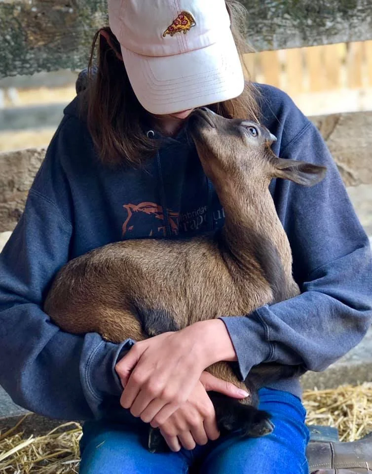 Person wearing a white cap and blue hoodie holding a baby goat in their arms.