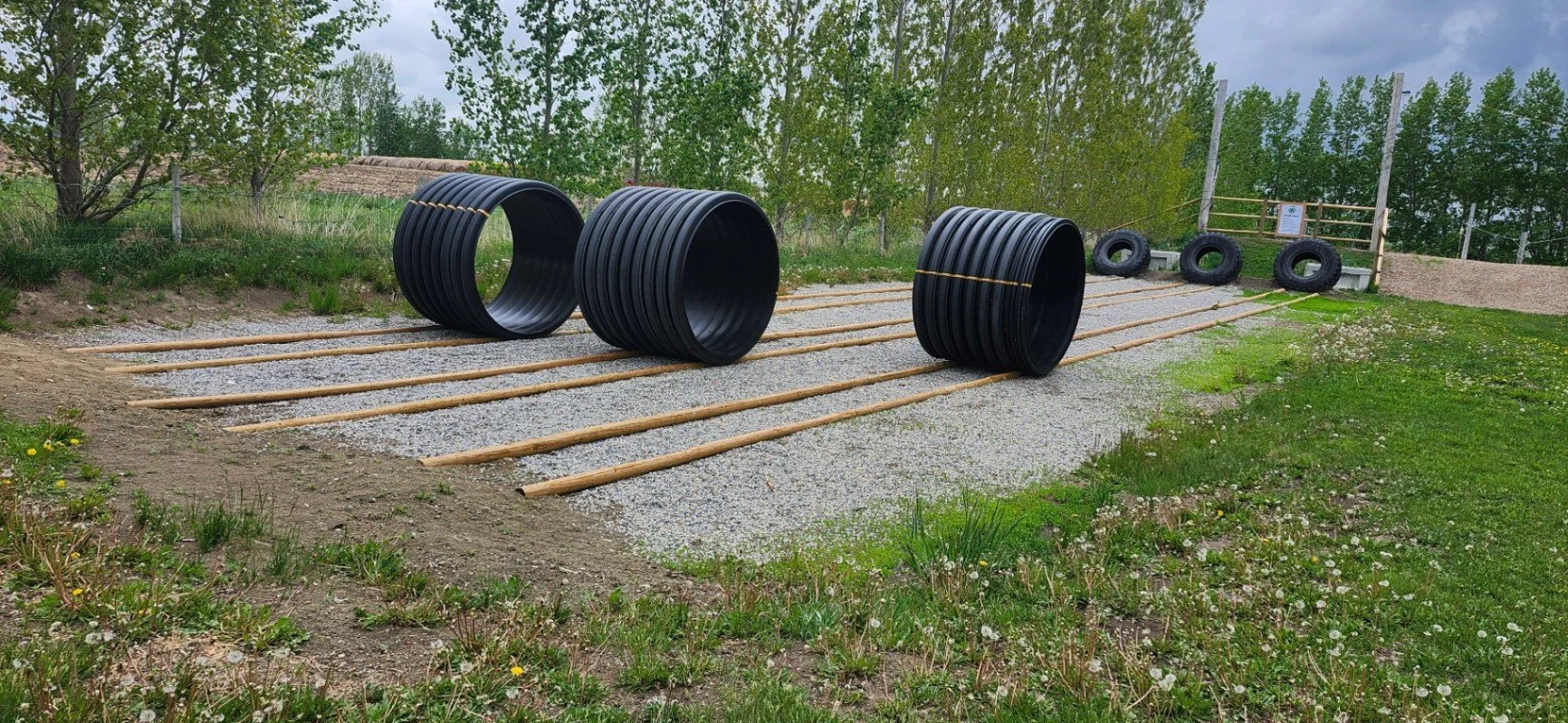 rat rollers for racing
