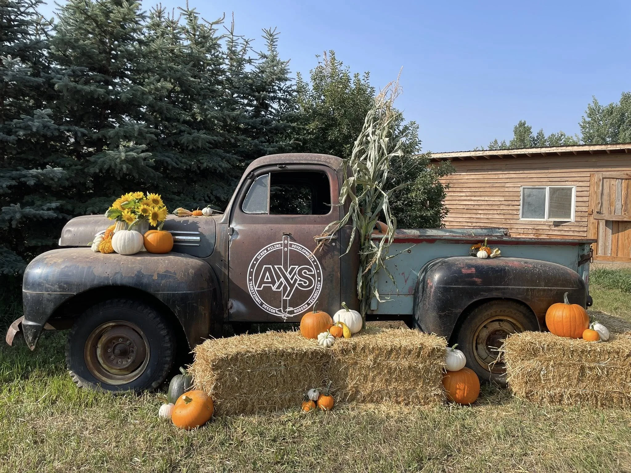An old vintage pickup truck decorated with pumpkins, gourds, sunflowers, and dried cornstalks, set outdoors with green trees and a wooden building in the background, under a clear blue sky.