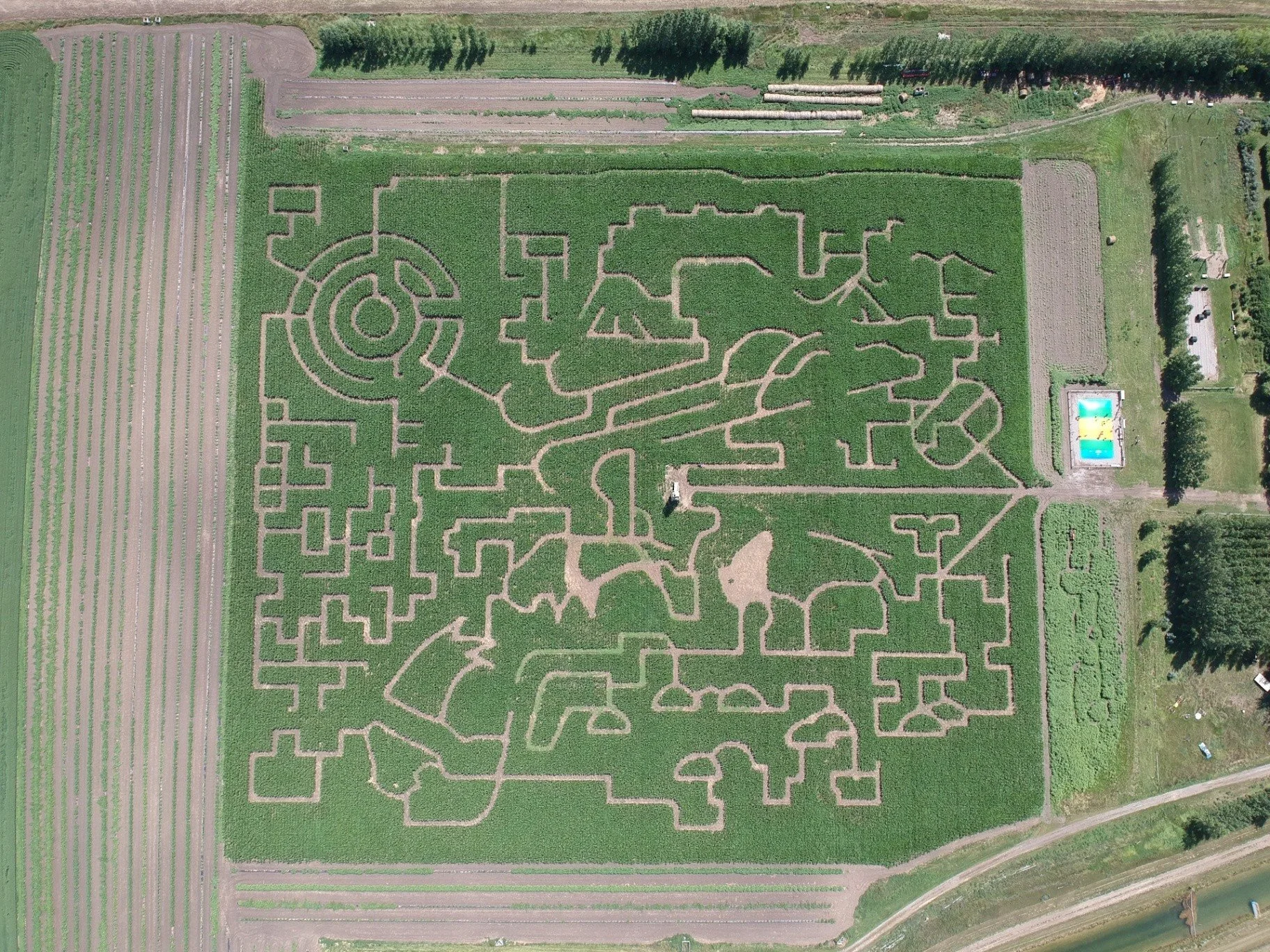An aerial view of a large corn maze with intricate pathways and shapes, located in a rural area surrounded by farmland, with a swimming pool nearby, and bordered by fields and trees.