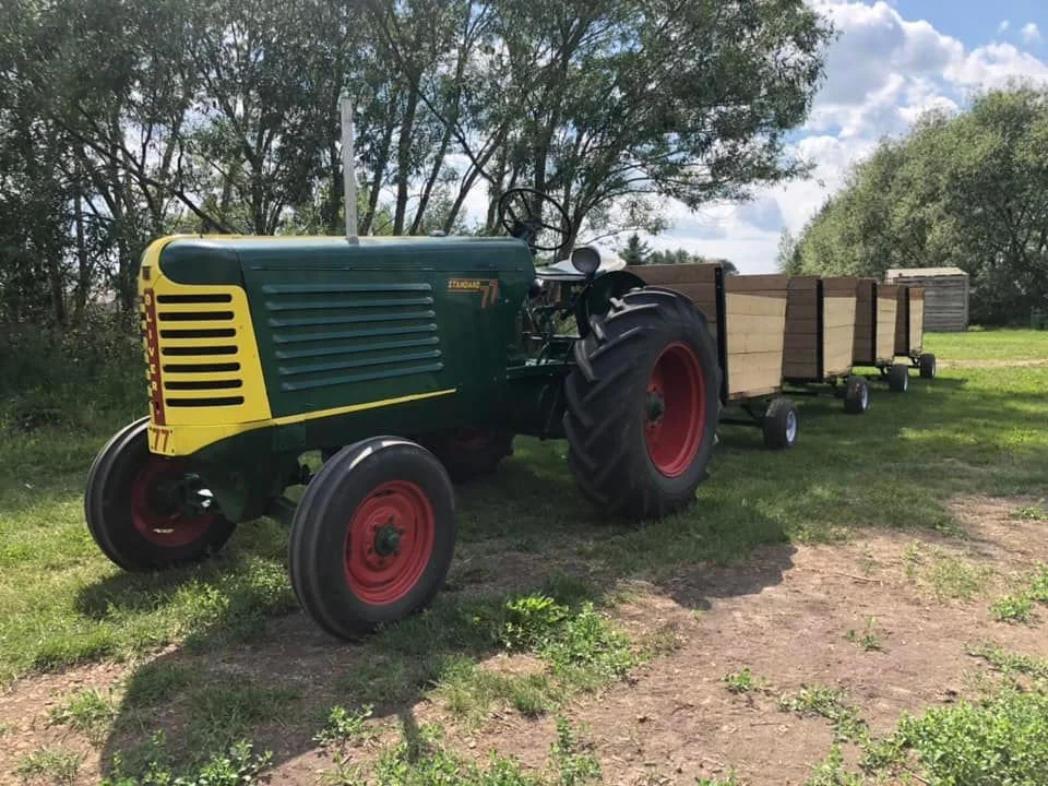 A green vintage tractor with red wheels pulling three wooden carts on a grassy field with trees and a blue sky with clouds in the background.